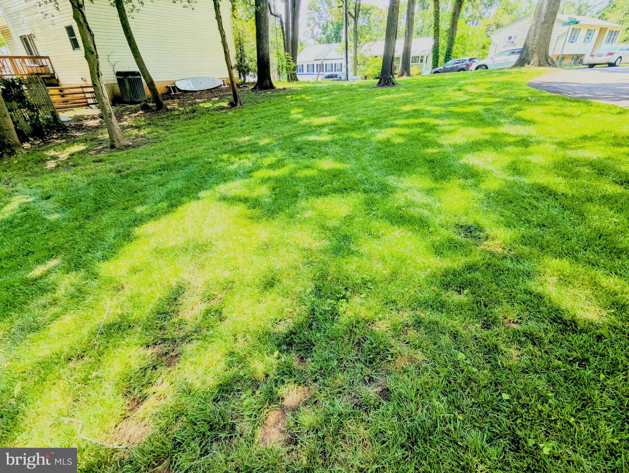 1167 GREEN HOLLY DRIVE