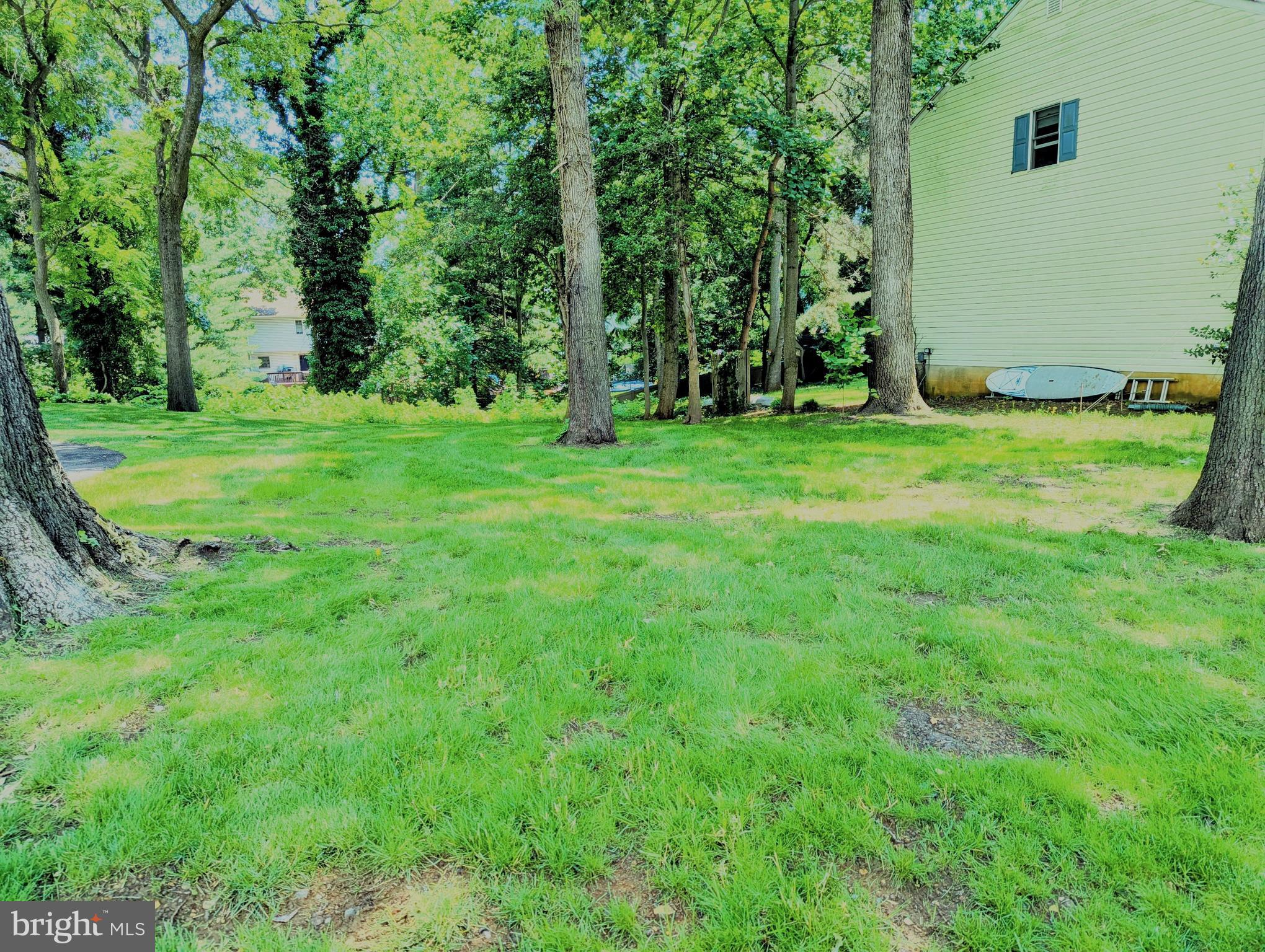 1167 GREEN HOLLY DRIVE