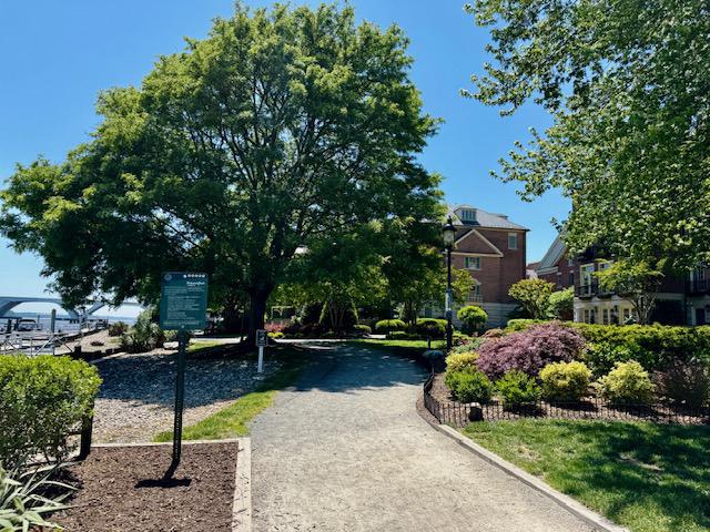 HARBORSIDE - Residential