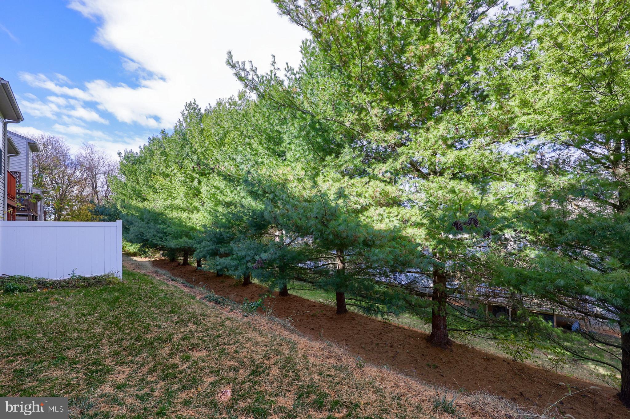 LOMBARD PINES - Residential