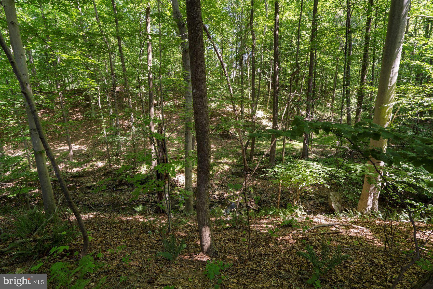 SCOTS FANCY - Residential