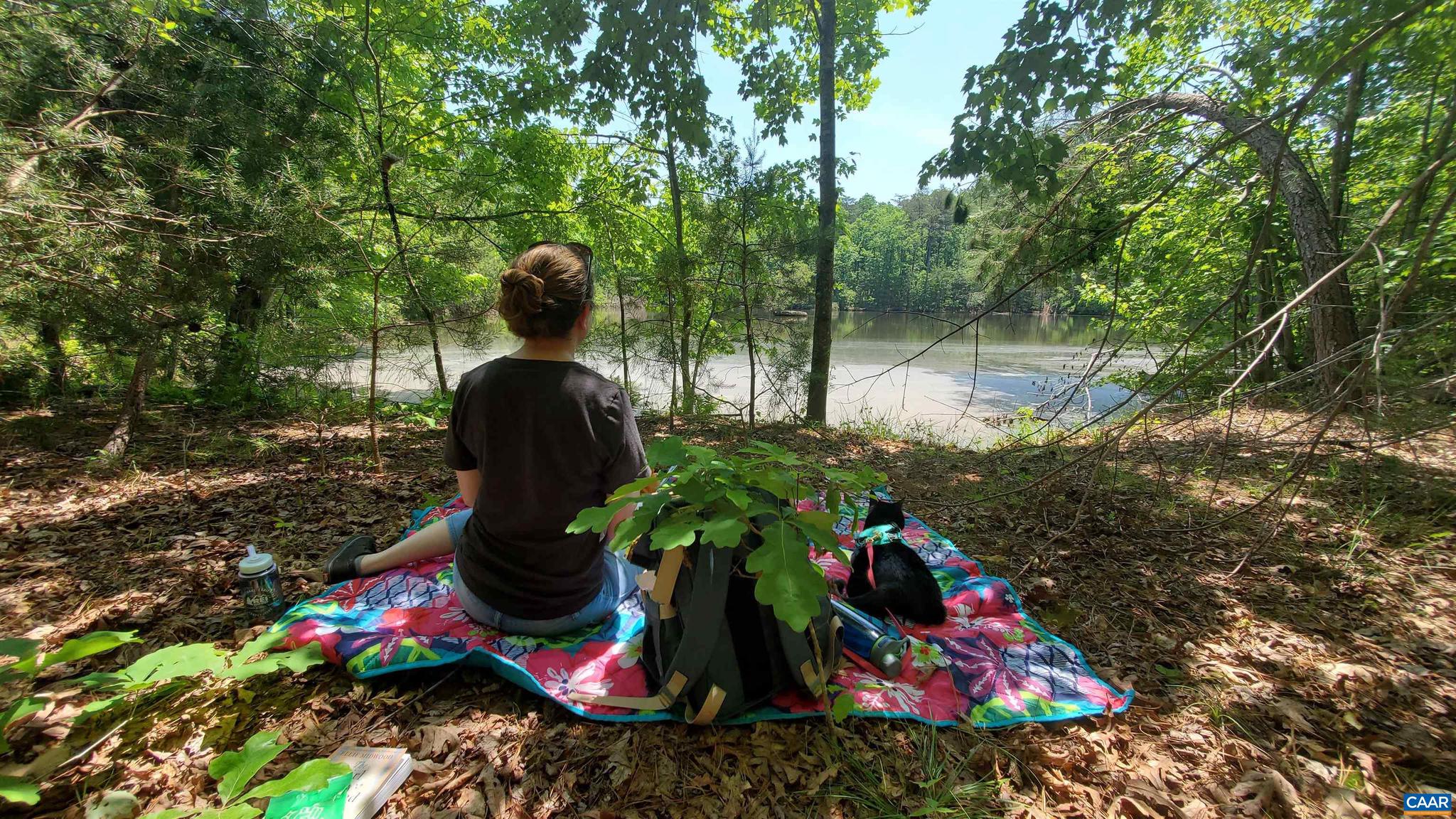 NONE AVAILABLE - Land