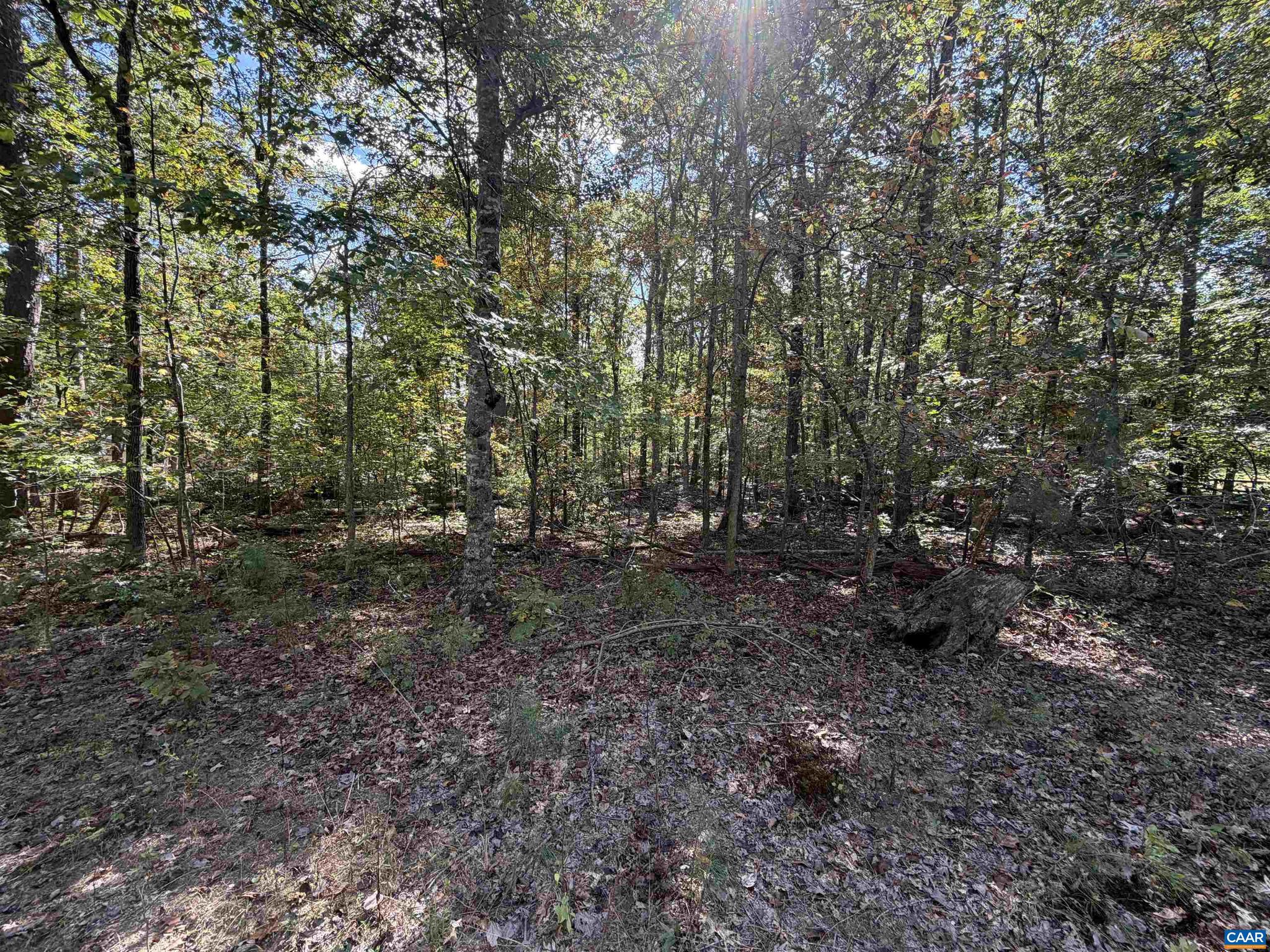 NONE AVAILABLE - Land