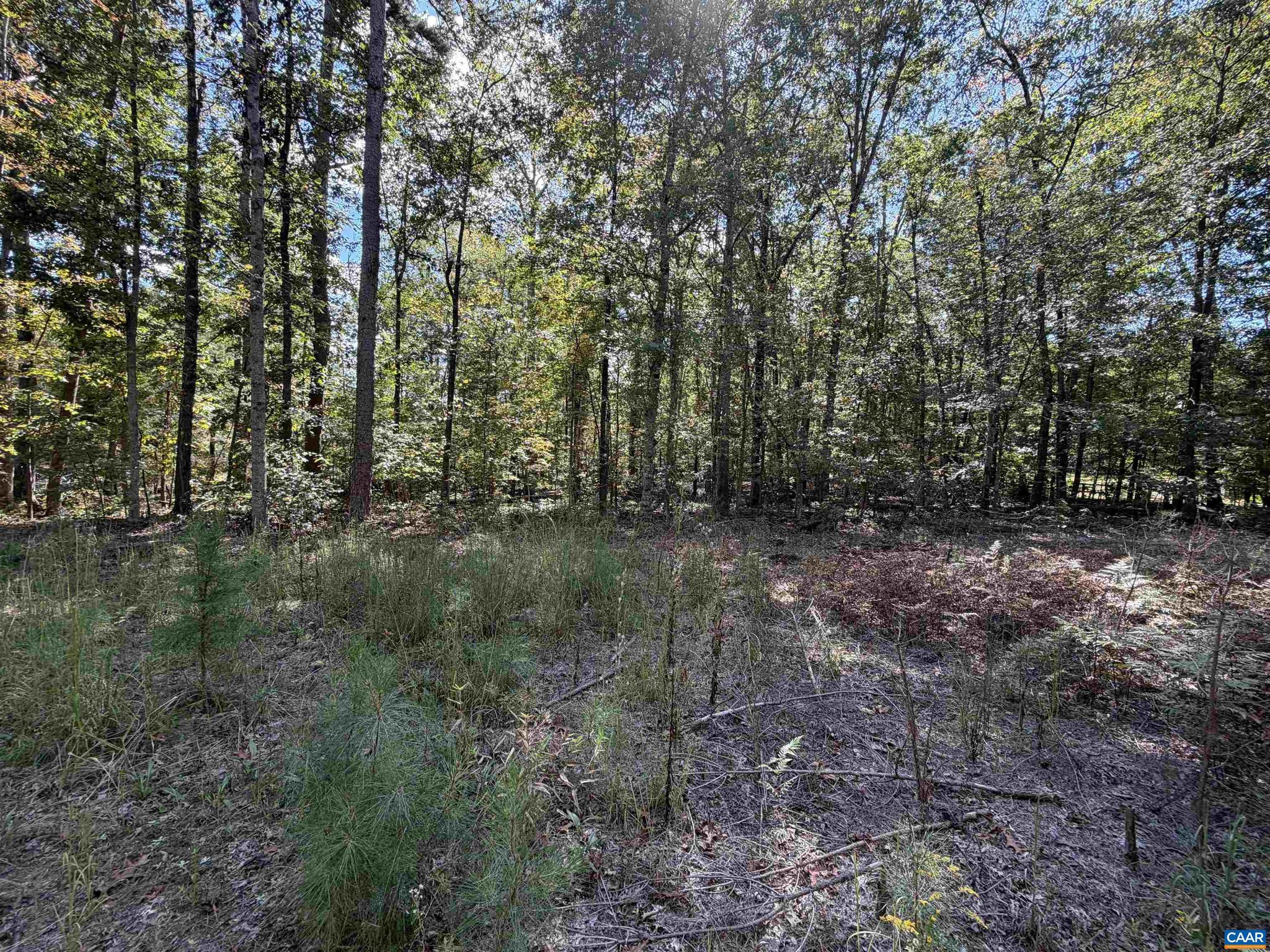 NONE AVAILABLE - Land