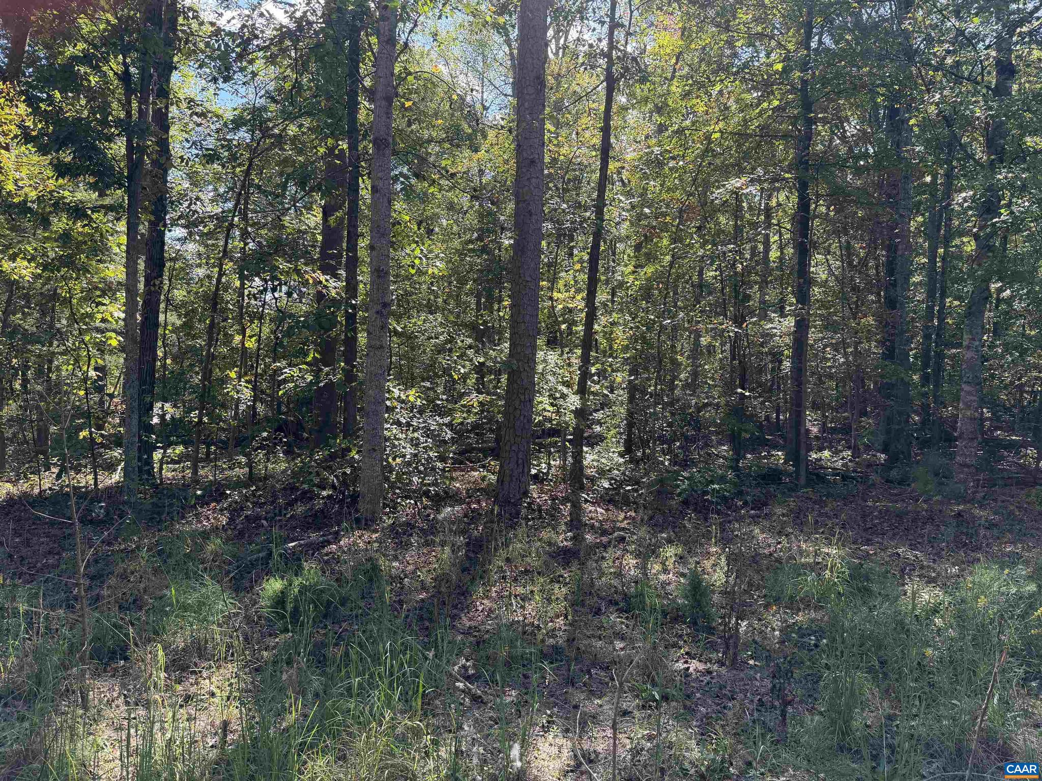 NONE AVAILABLE - Land