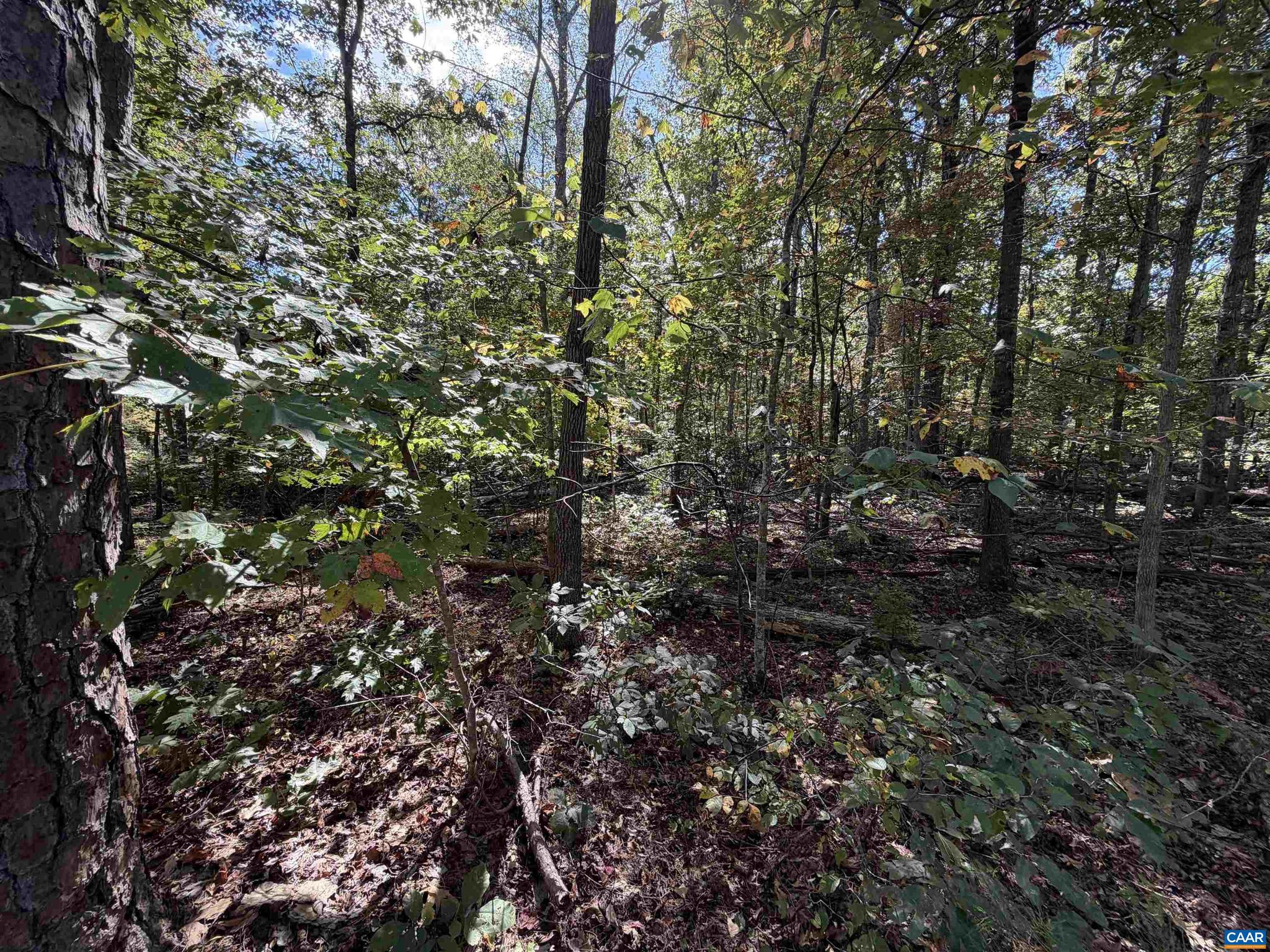 NONE AVAILABLE - Land