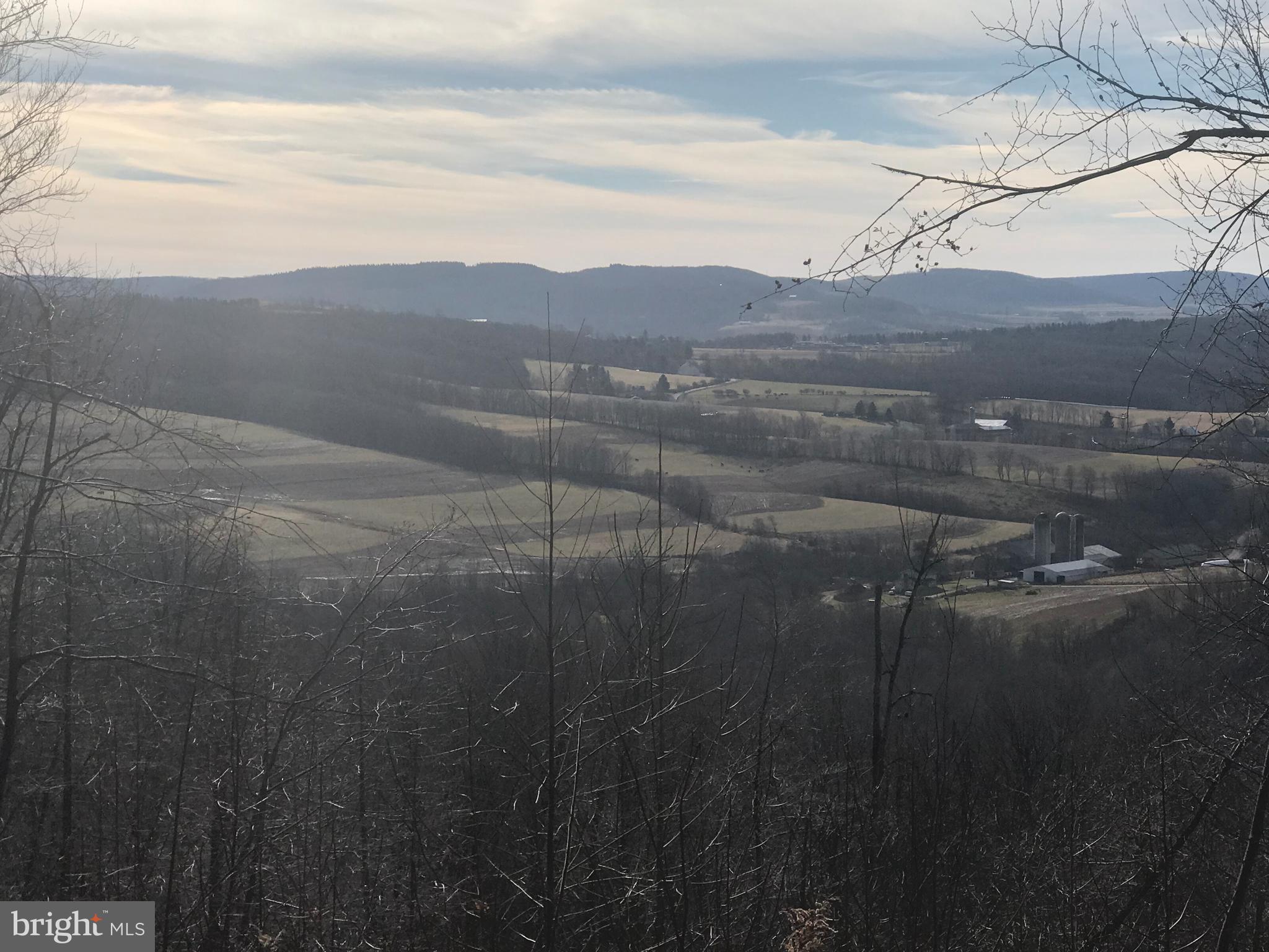 DEVILS HALF ACRE ROAD