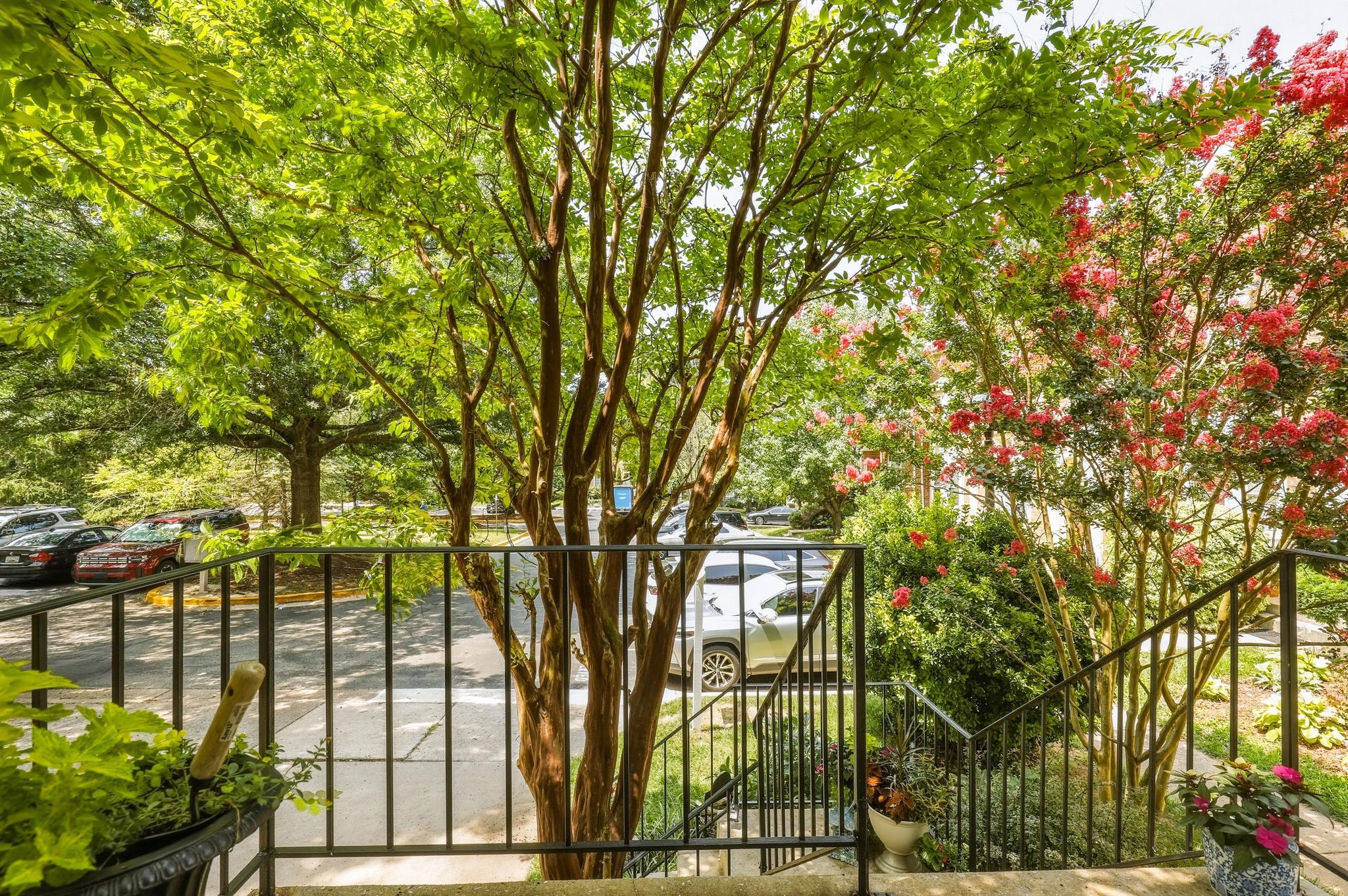 19015 GALLOP DRIVE