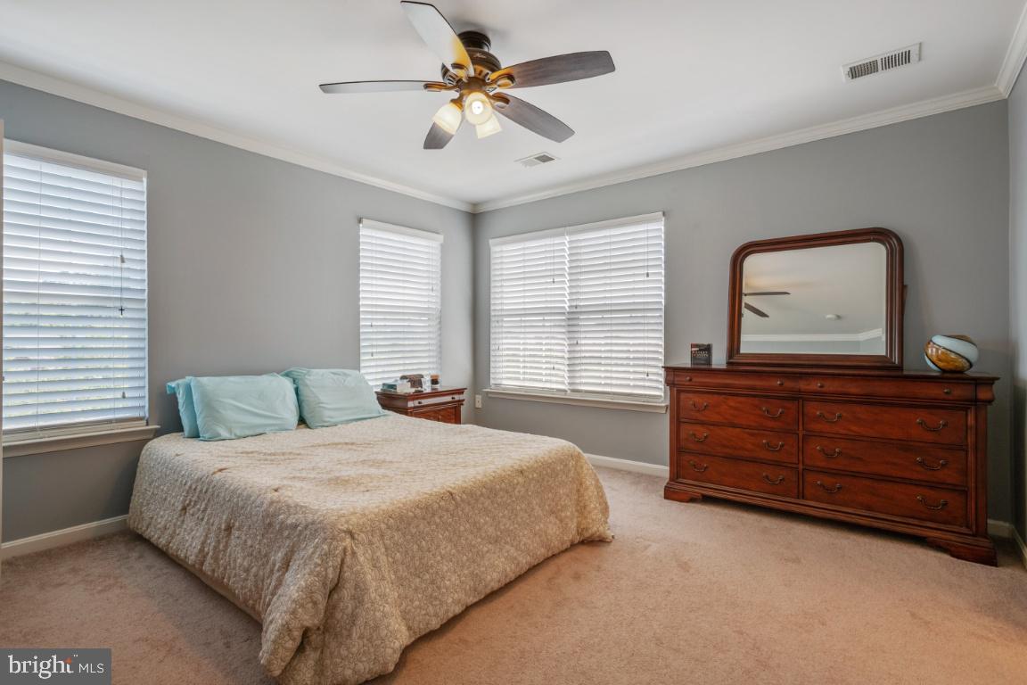 LAKEVIEW OF CULPEPER - Residential