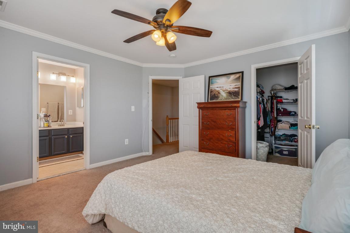 LAKEVIEW OF CULPEPER - Residential