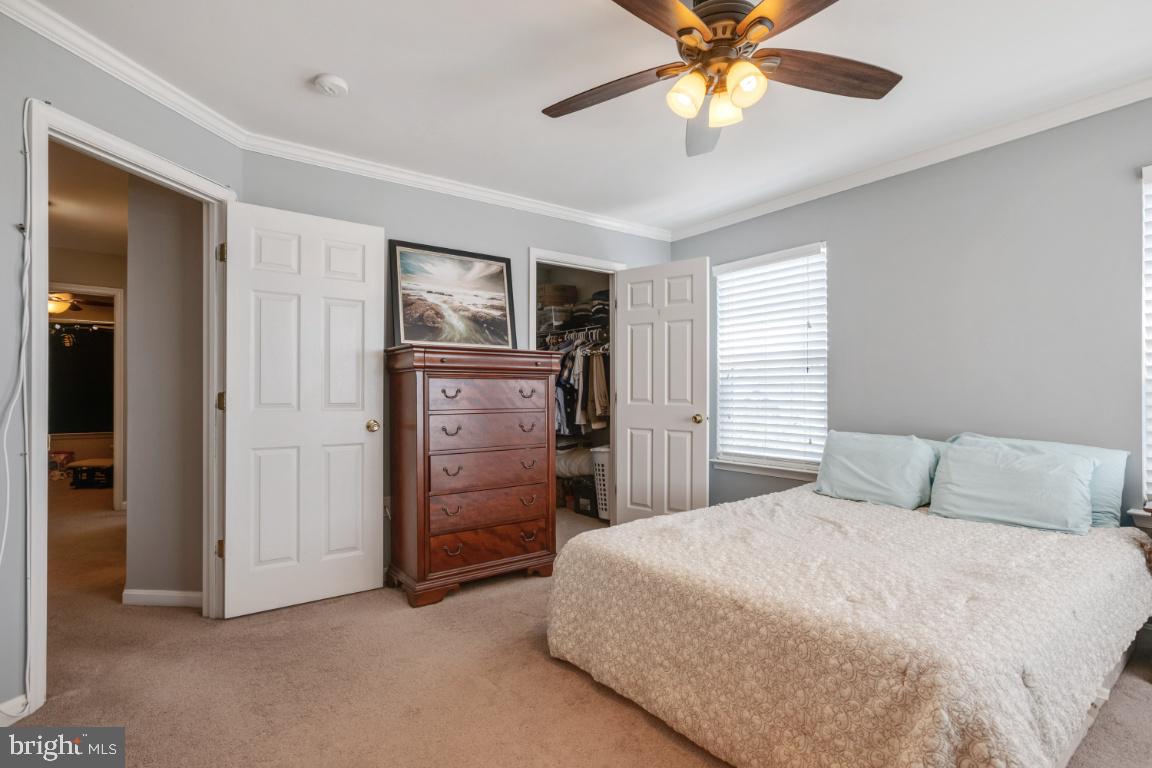 LAKEVIEW OF CULPEPER - Residential