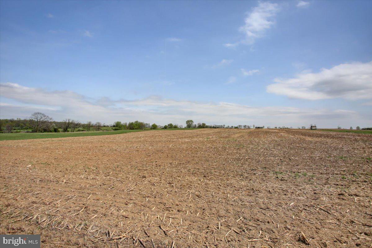 BLUE SPRING - Residential