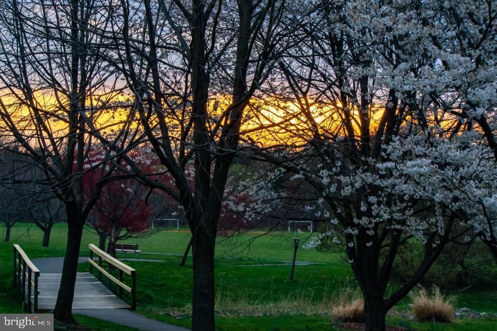 CLOVER HILL - Residential