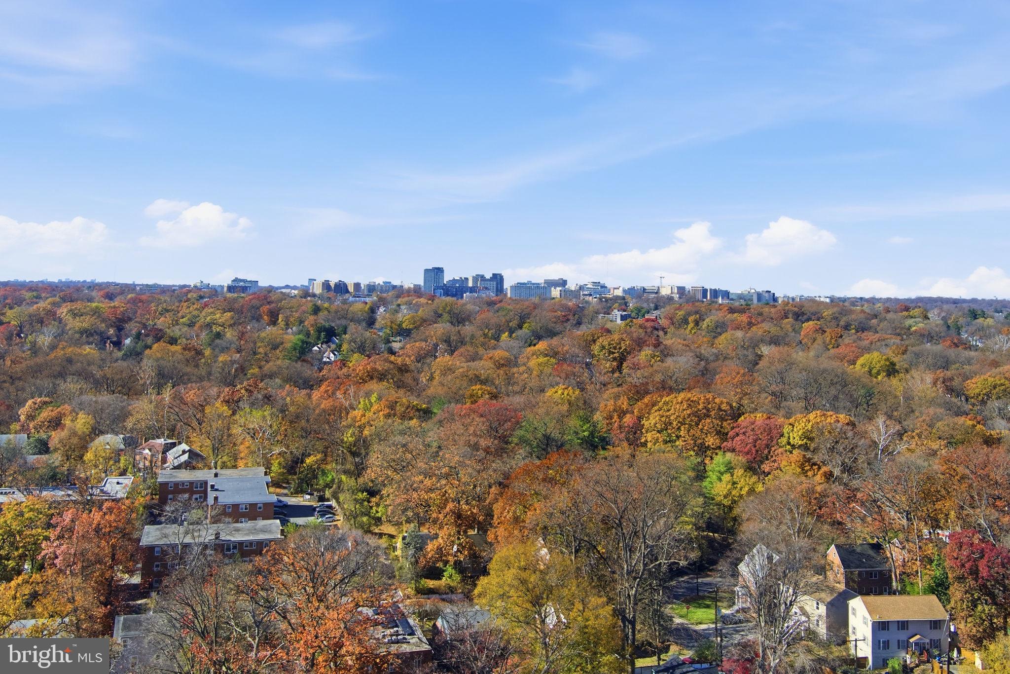 TAKOMA PARK - Residential