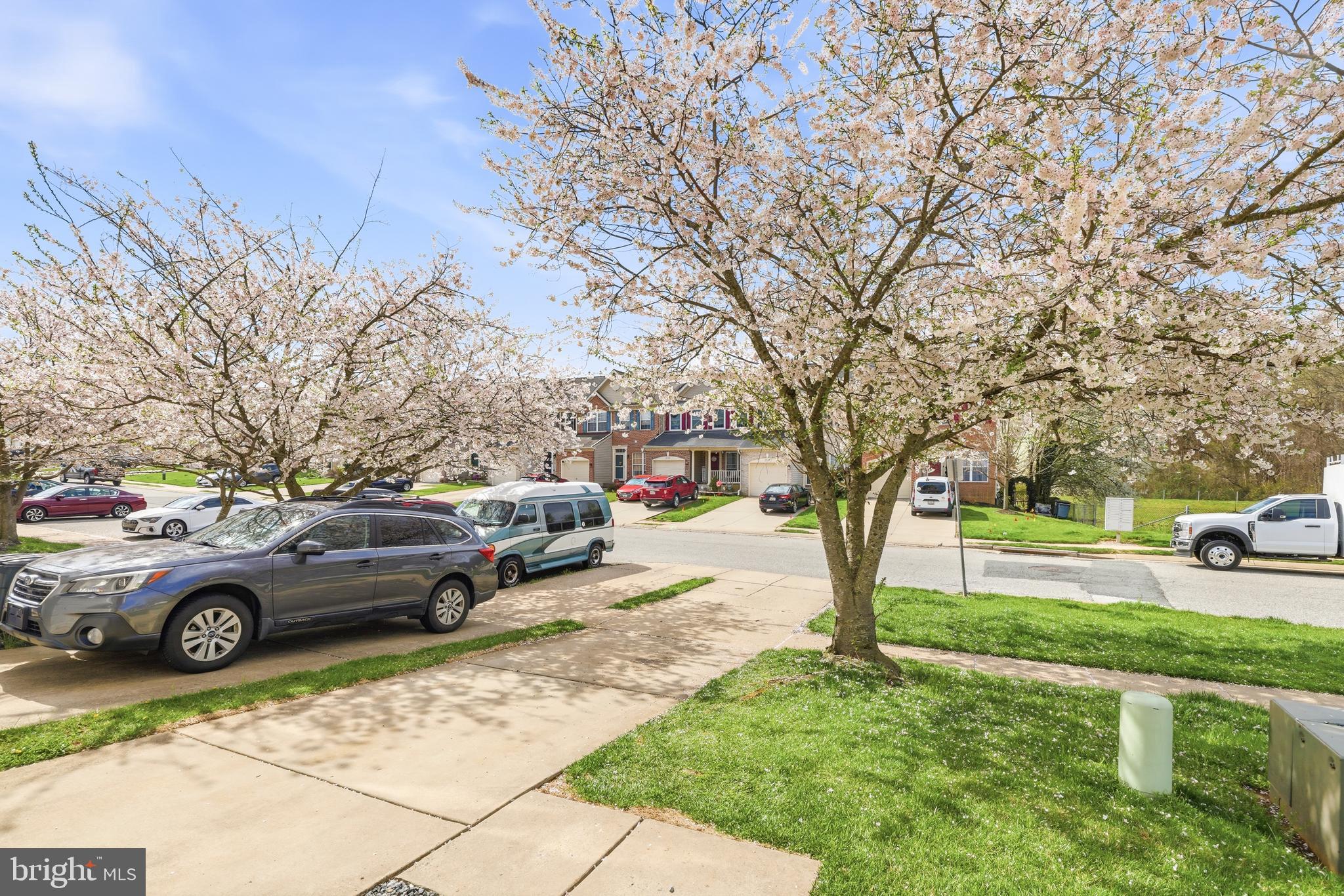 SPENCEOLA FARMS - Residential