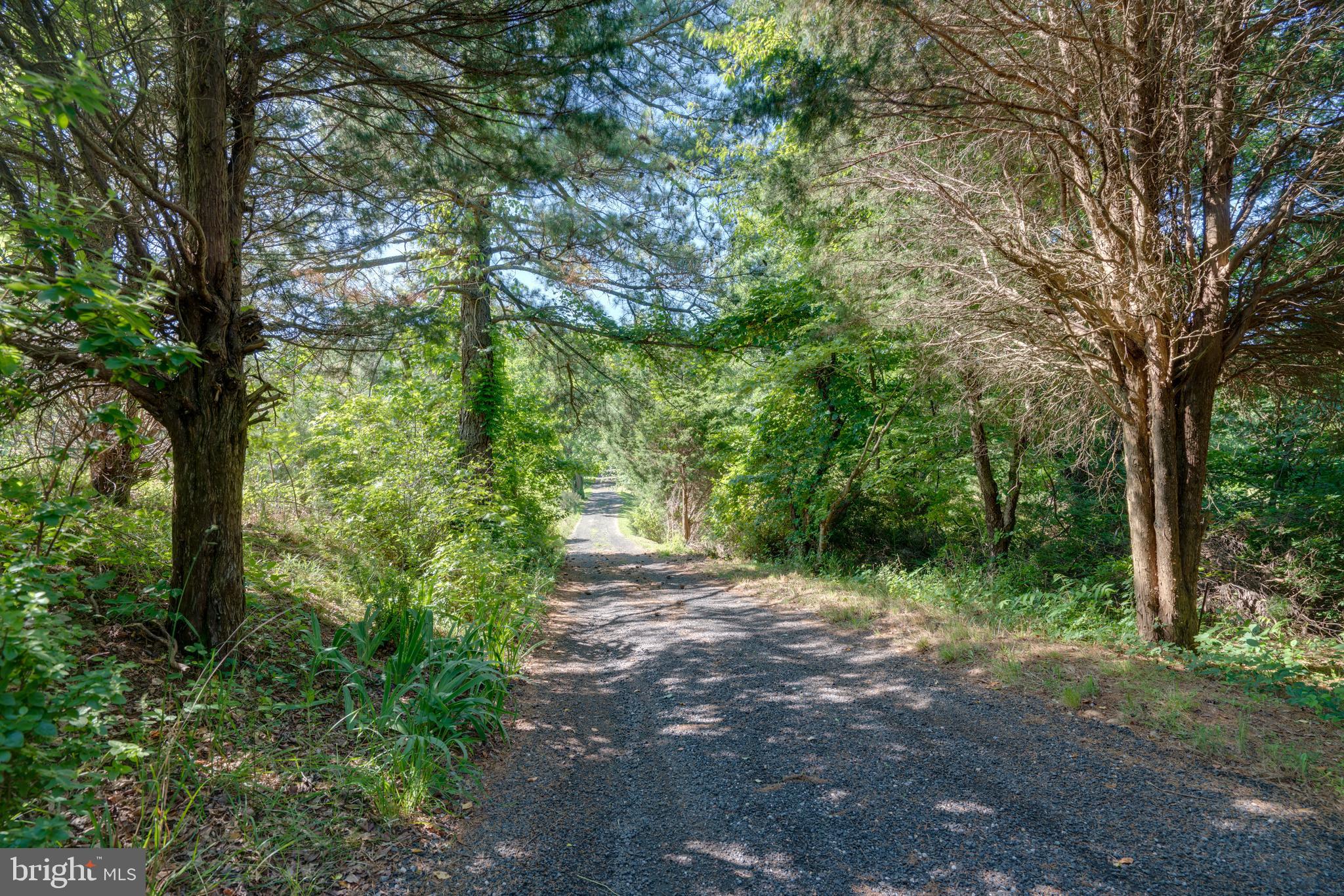 ALAMEDA - Residential