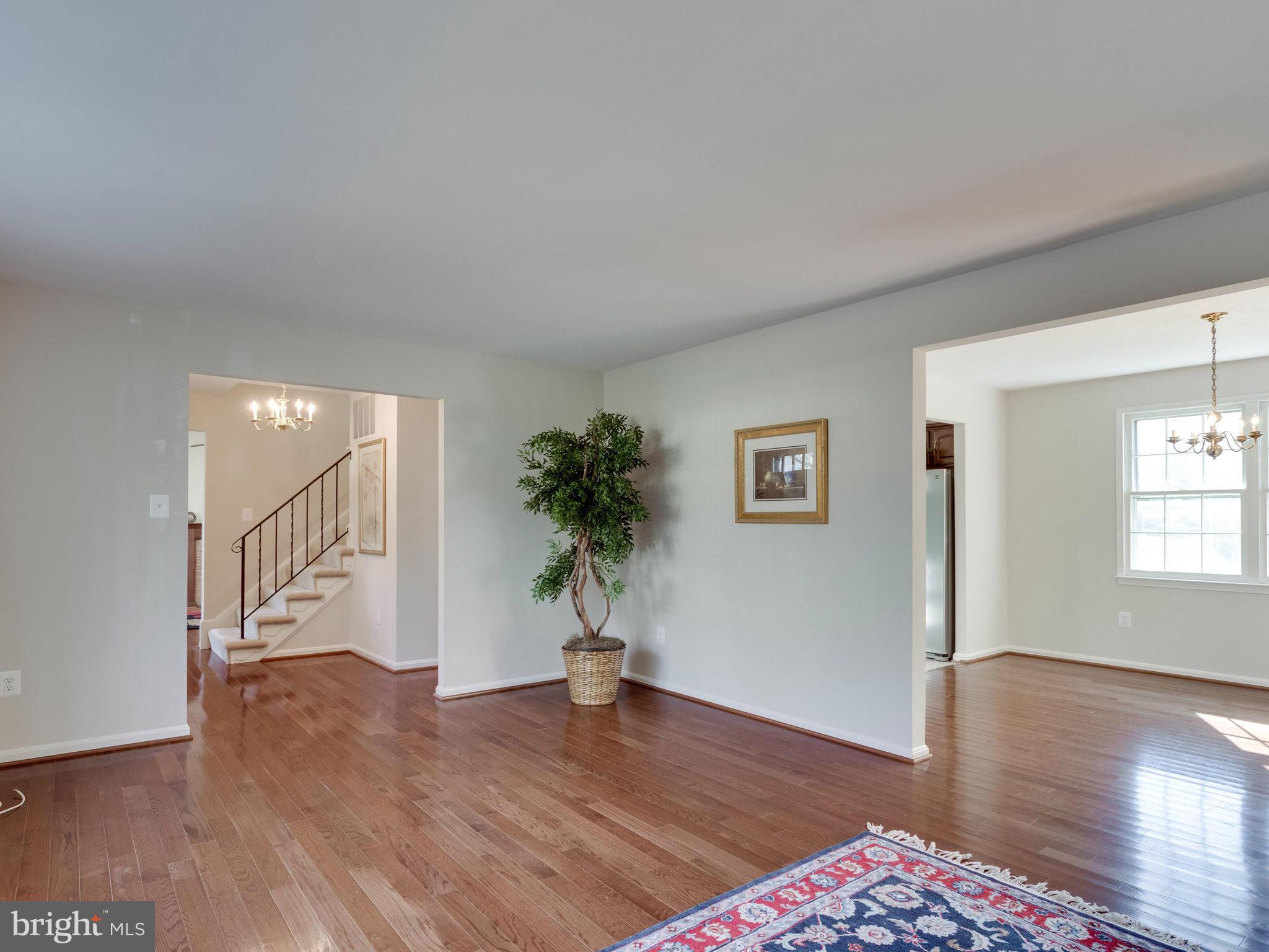 ORANGE HUNT ESTATES - Residential