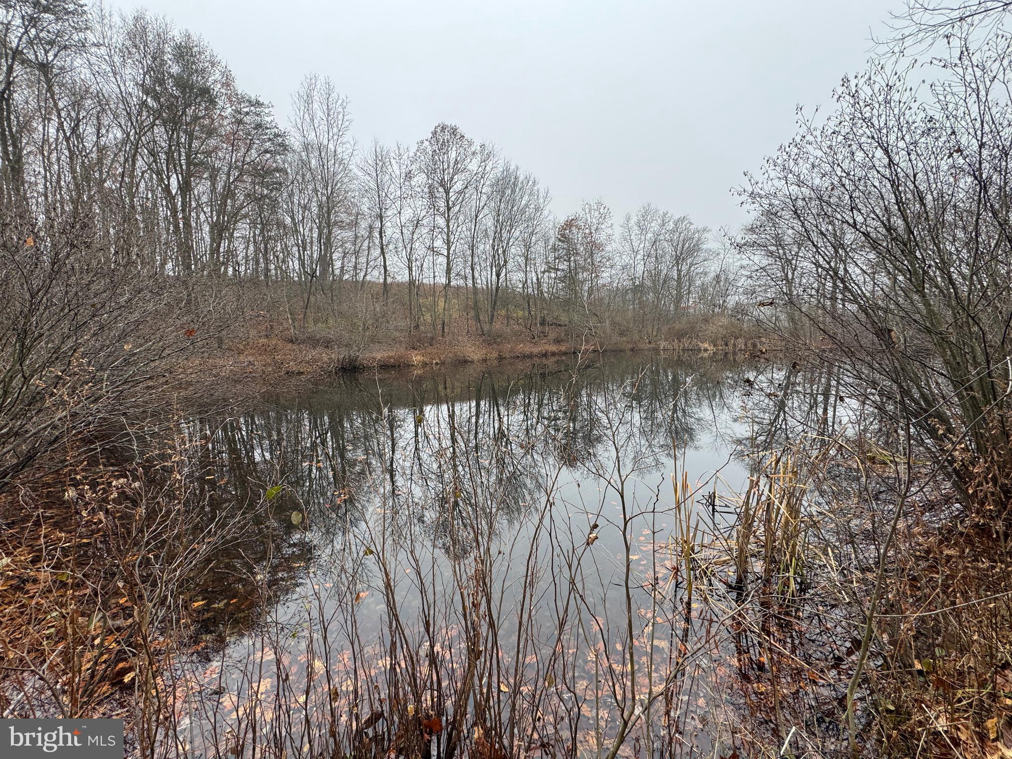 3014 PEACH ORCHARD ROAD