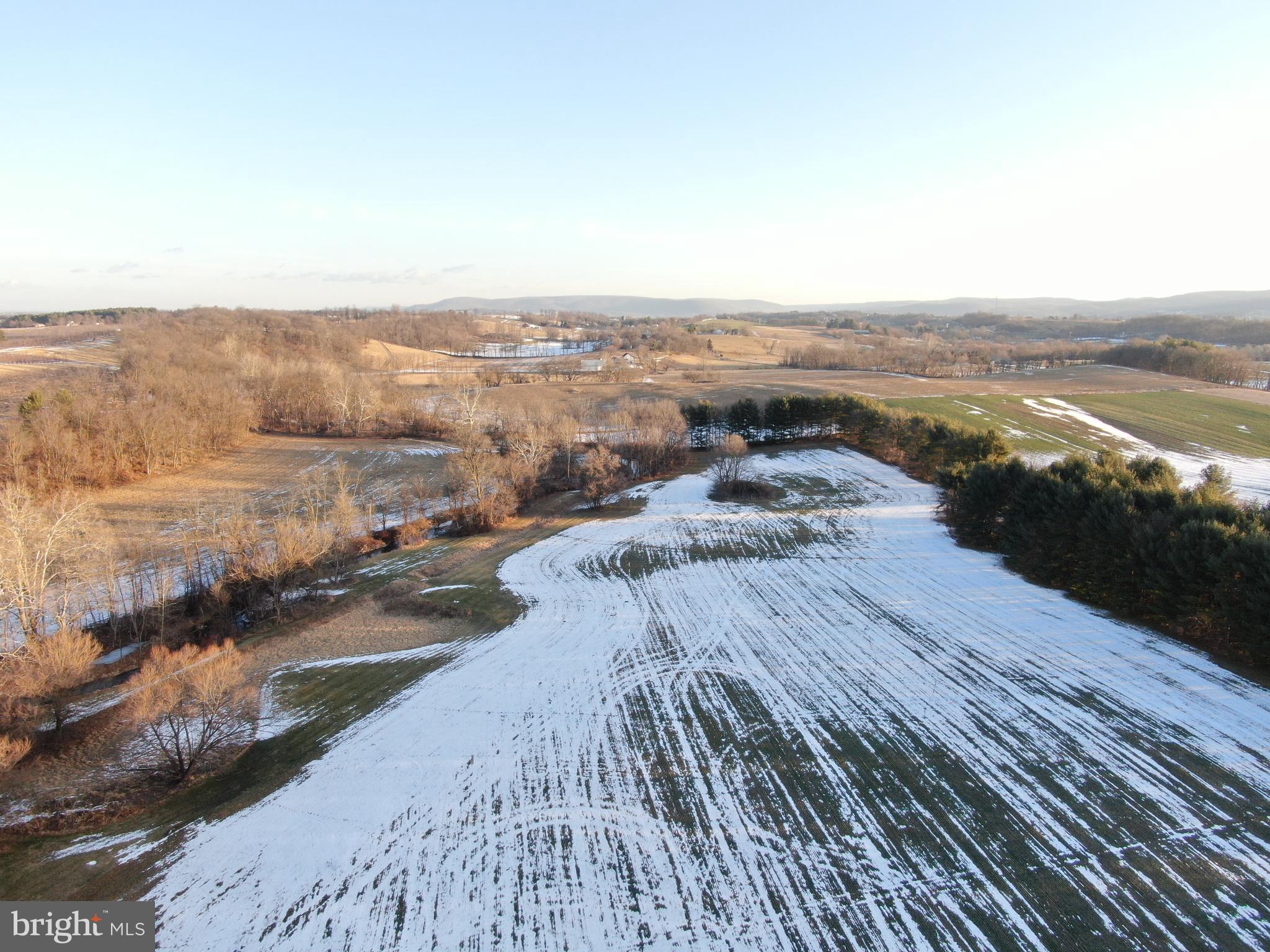 NONE AVAILABLE - Farm