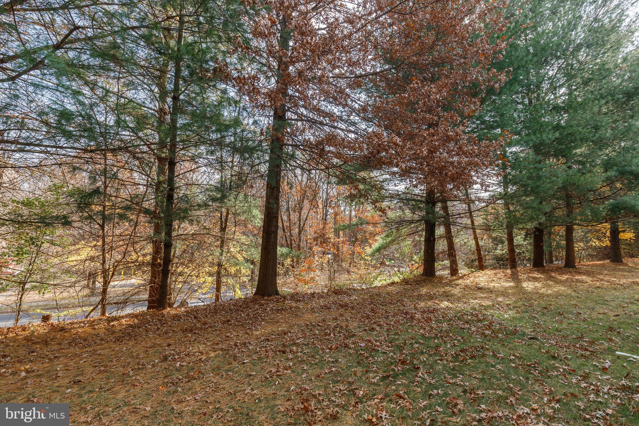 MAYS CHAPEL NORTH - Residential