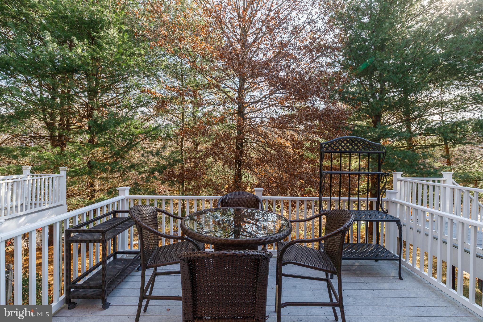 MAYS CHAPEL NORTH - Residential