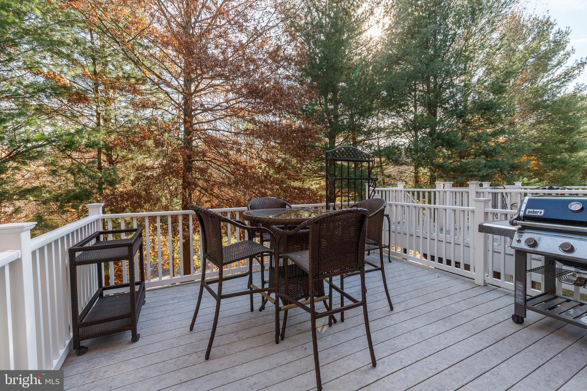 MAYS CHAPEL NORTH - Residential