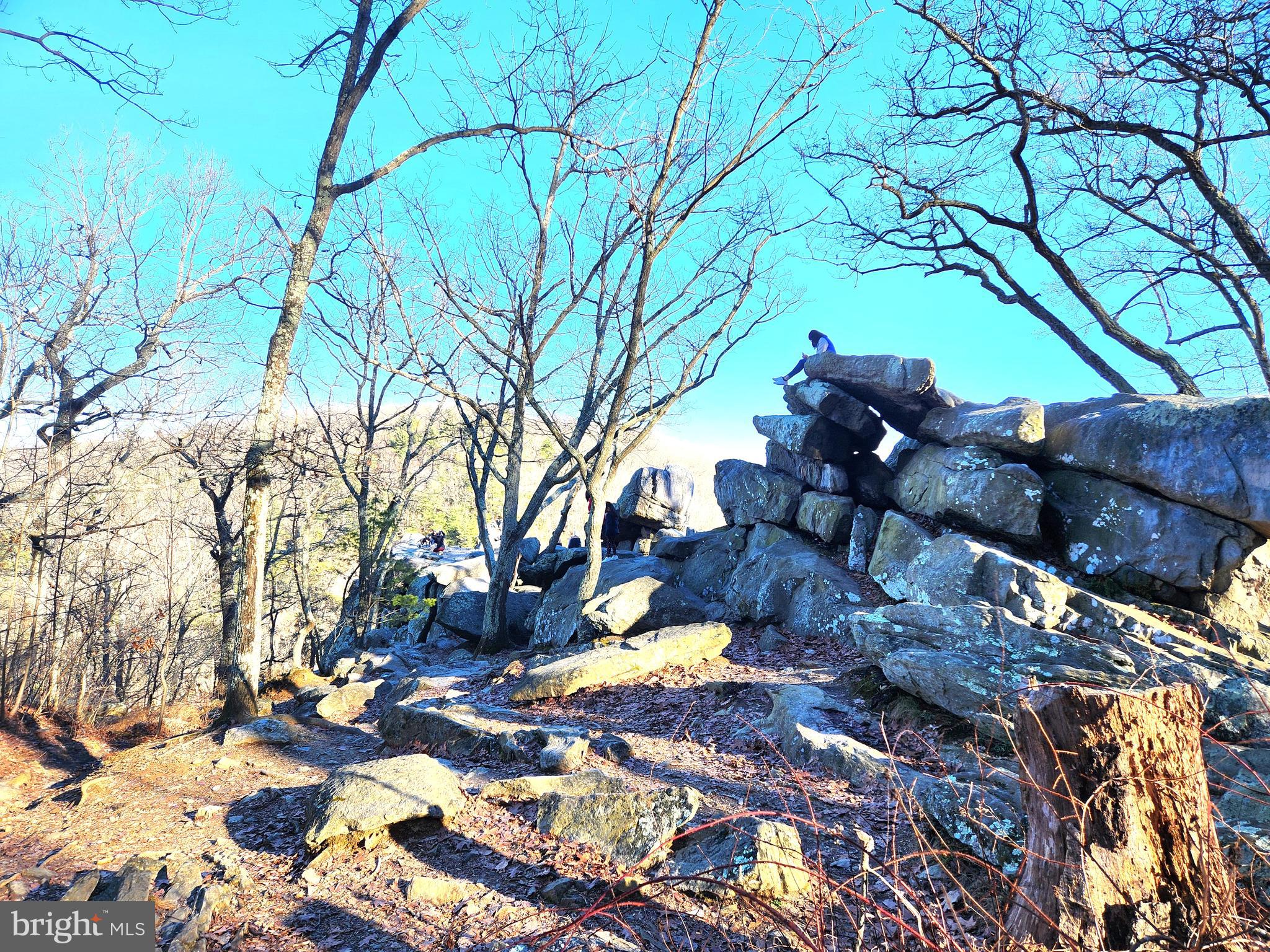 JARRETTSVILLE - Residential