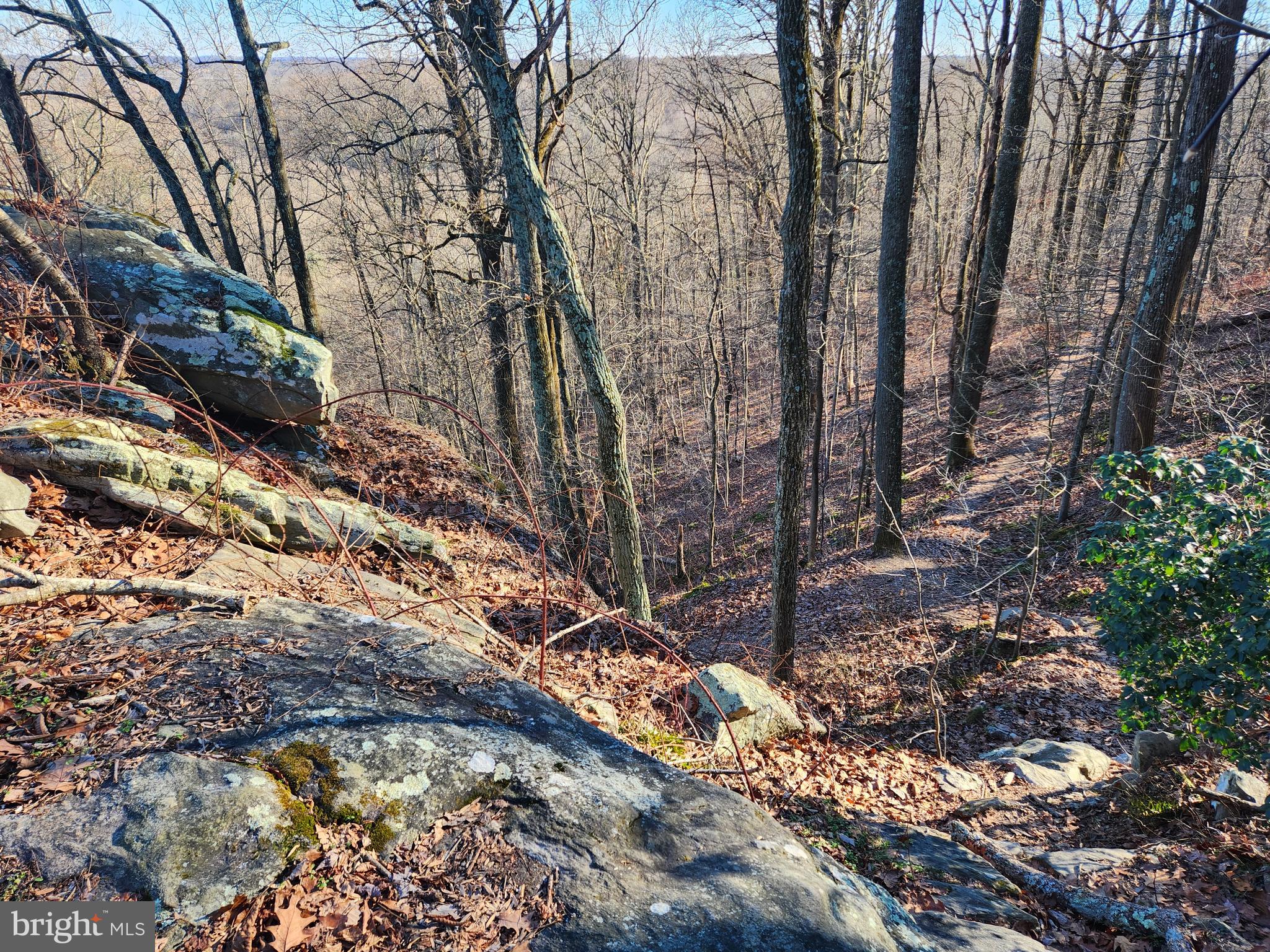 JARRETTSVILLE - Residential