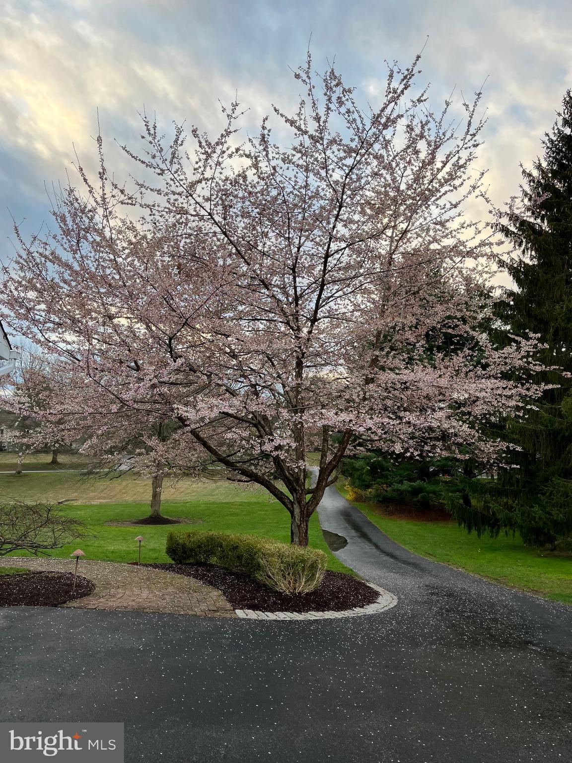 GREENVILLE MEADOWS - Residential