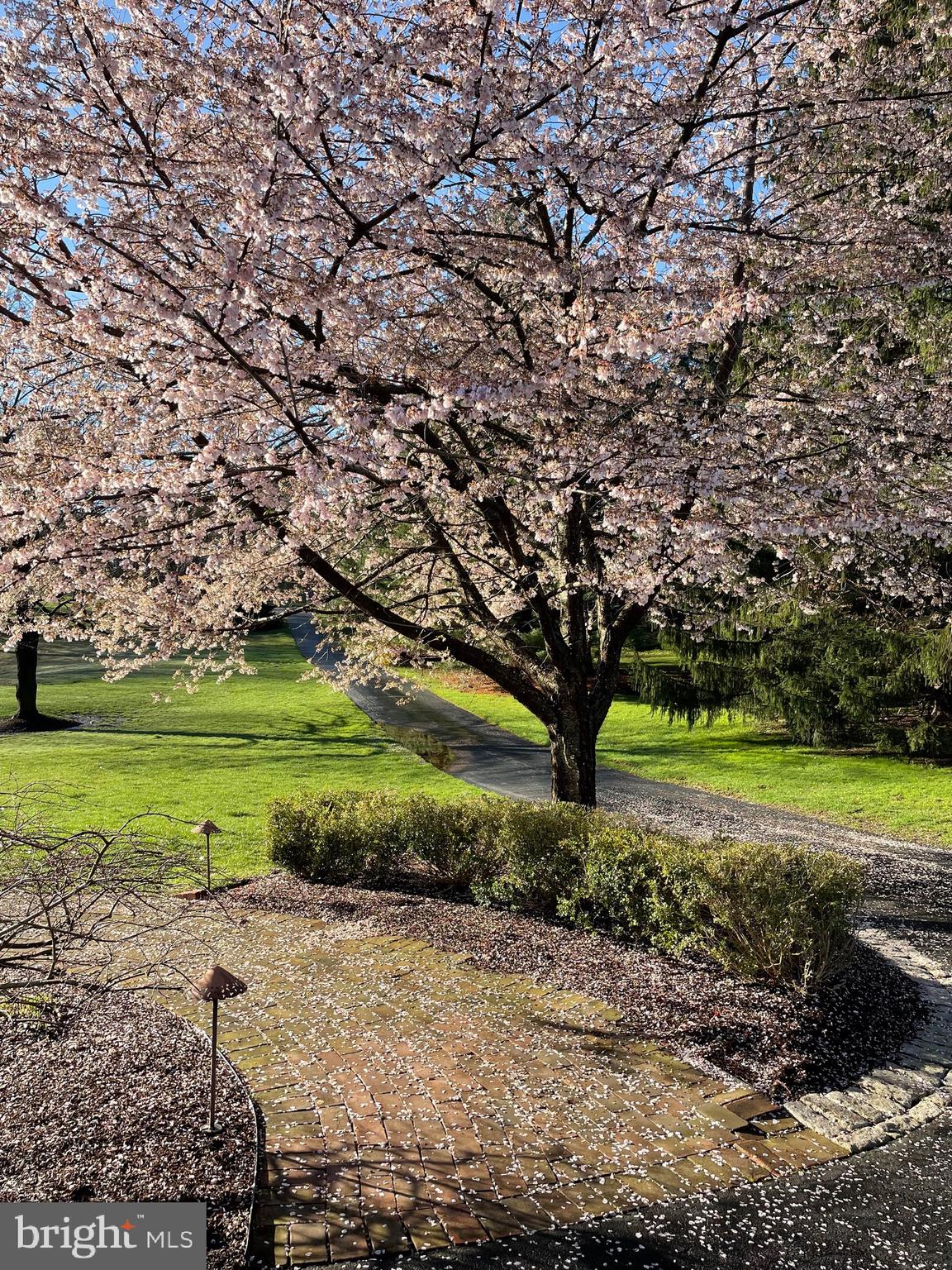 GREENVILLE MEADOWS - Residential