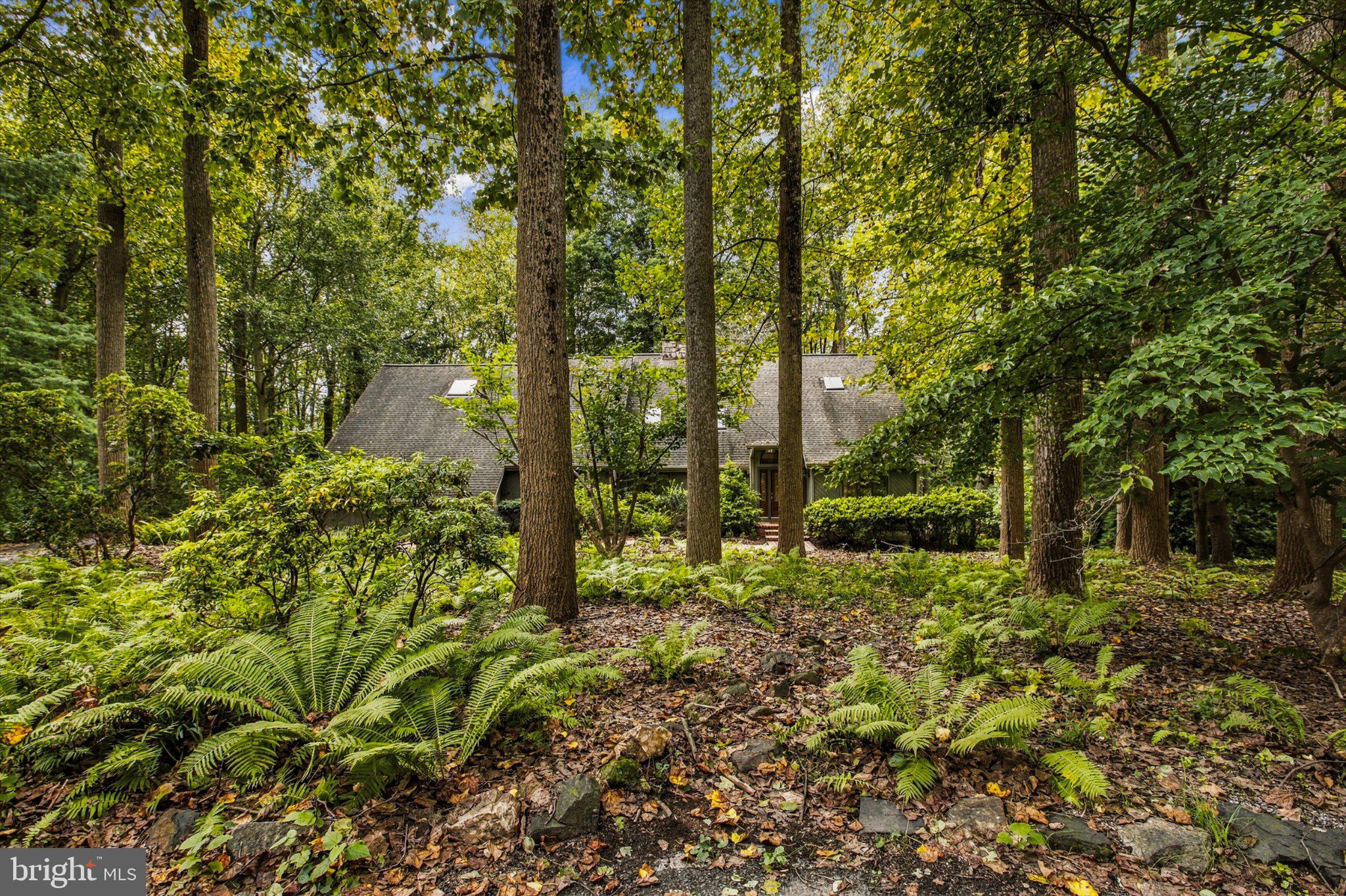 116 WOODS LANE