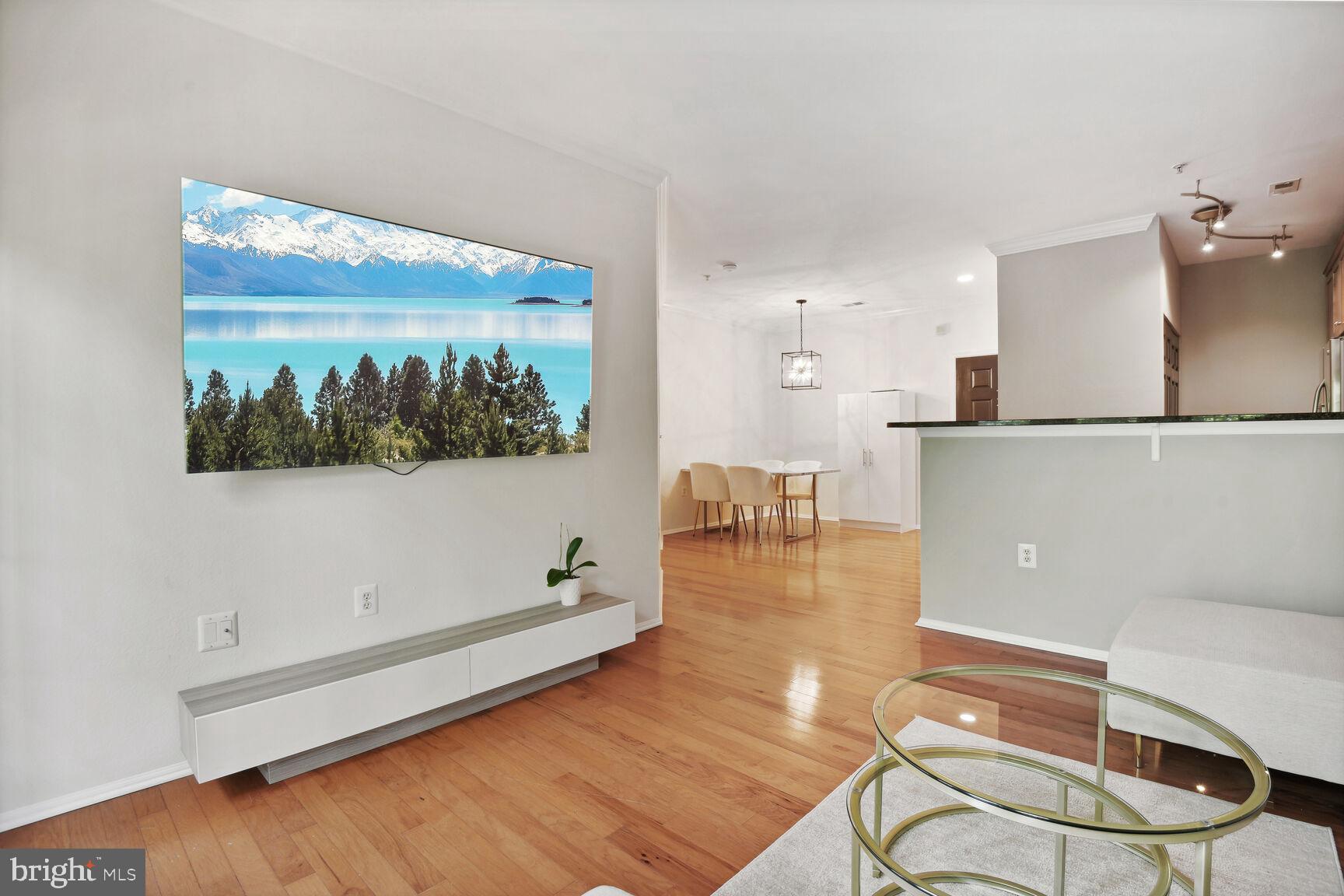 WHITE FLINT STATION - Residential