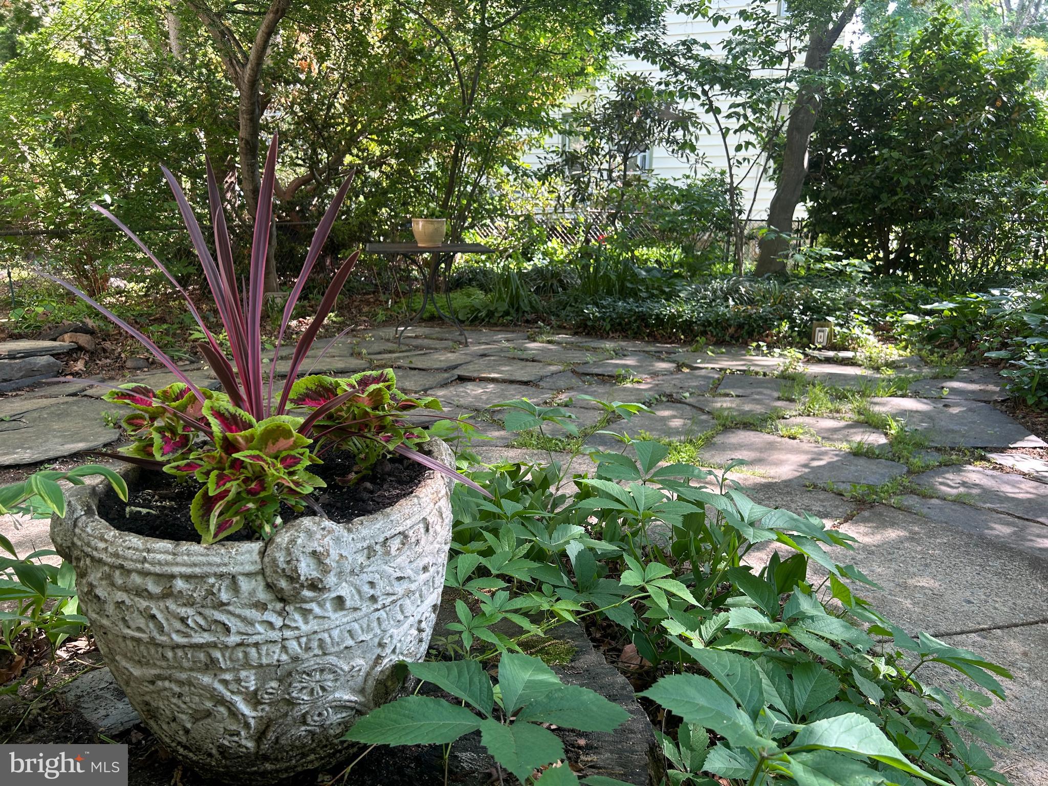 WYNNEWOOD VALLEY - Residential