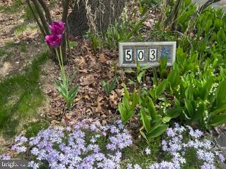 WYNNEWOOD VALLEY - Residential