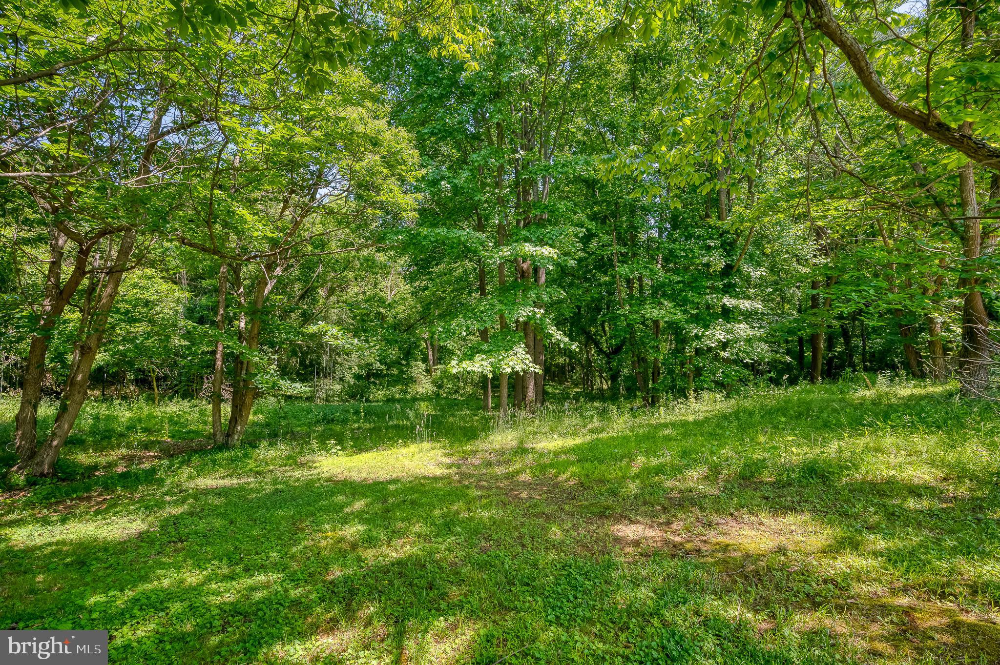 CROWNSVILLE - Commercial Sale