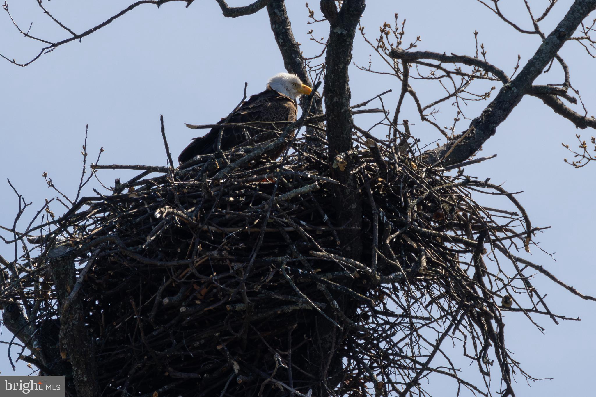 VILLAMAY - Residential