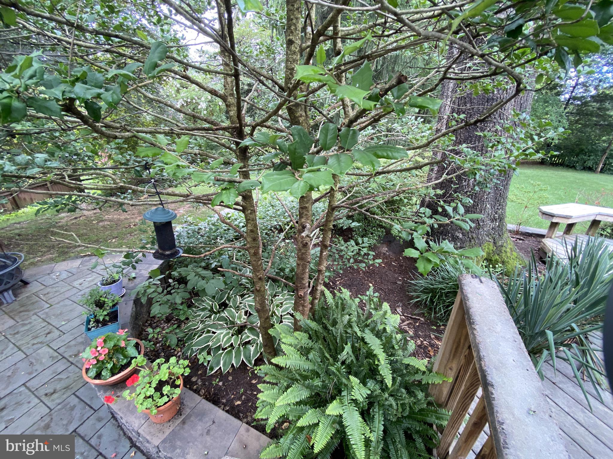 WEXFORD - Residential Lease