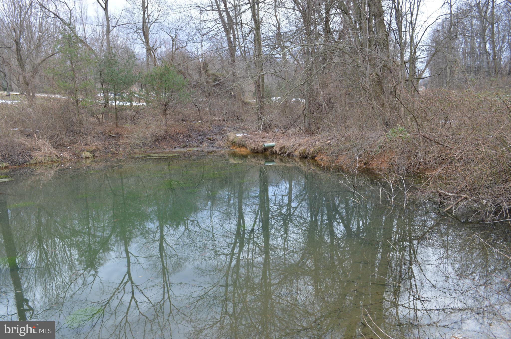 SPRING GROVE - Residential