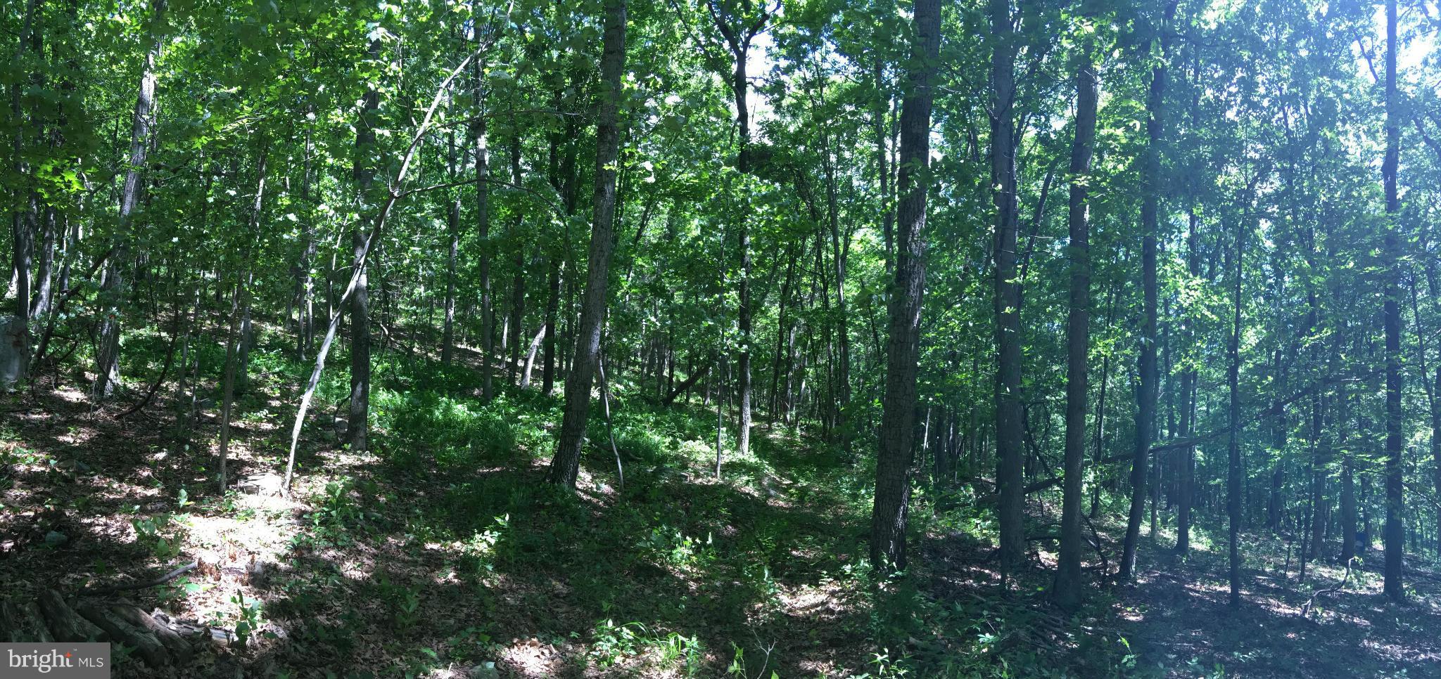 EAGLE MOUNTAIN - Land