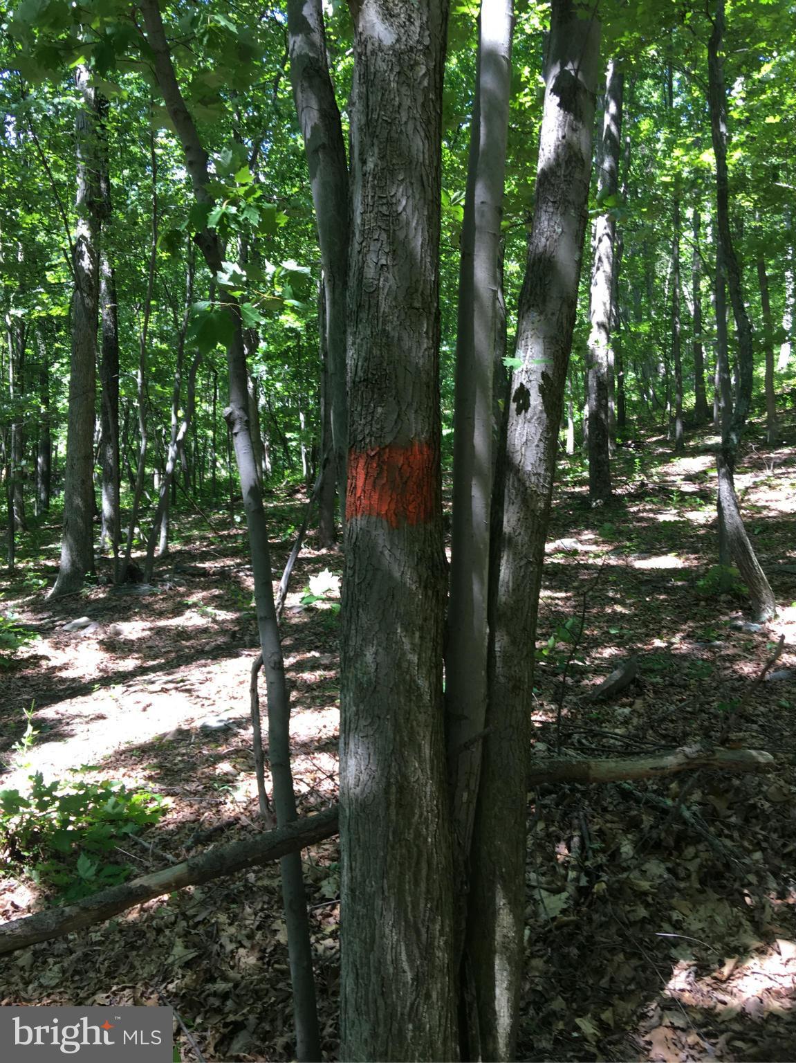 EAGLE MOUNTAIN - Land