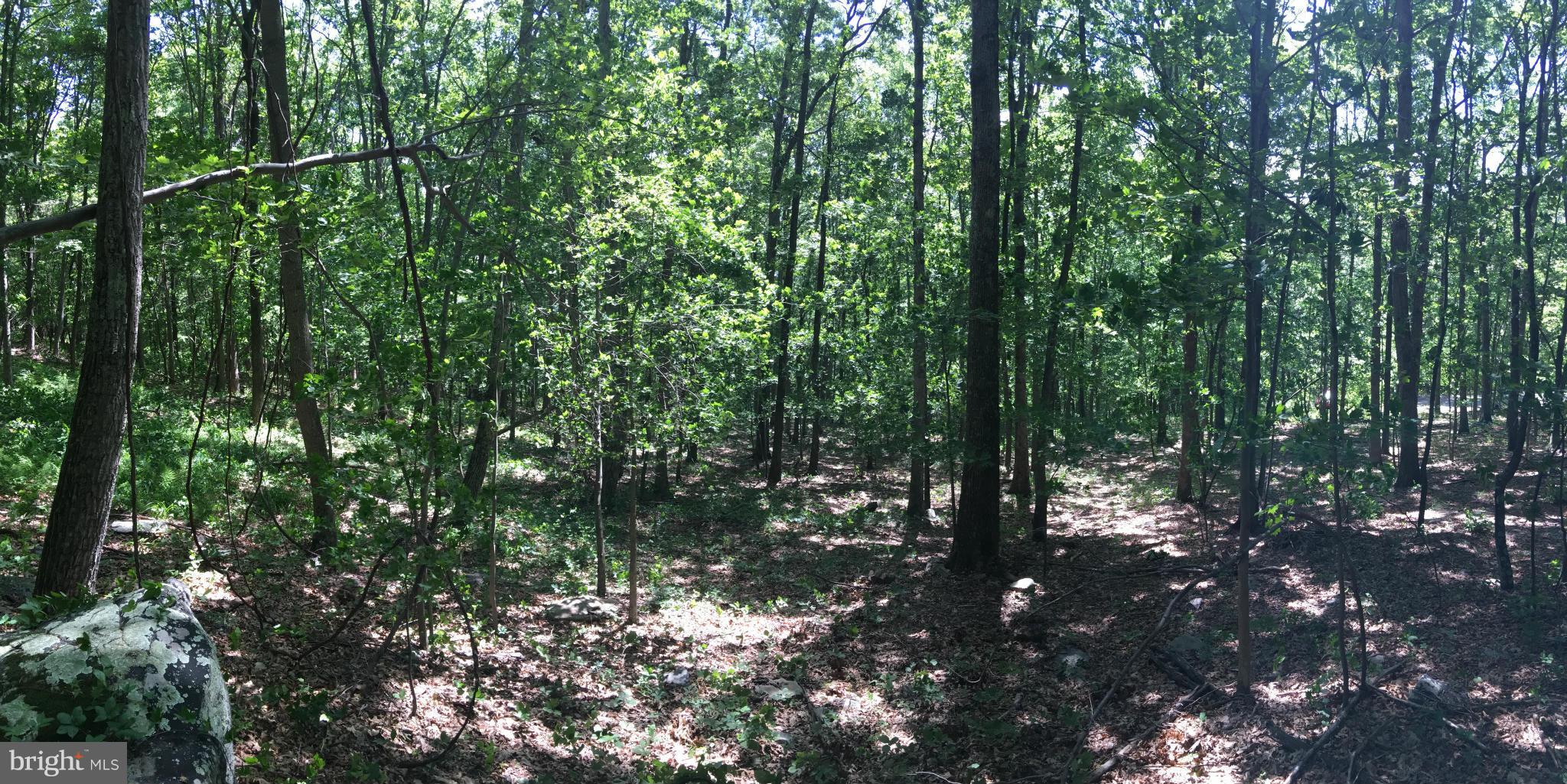 EAGLE MOUNTAIN - Land