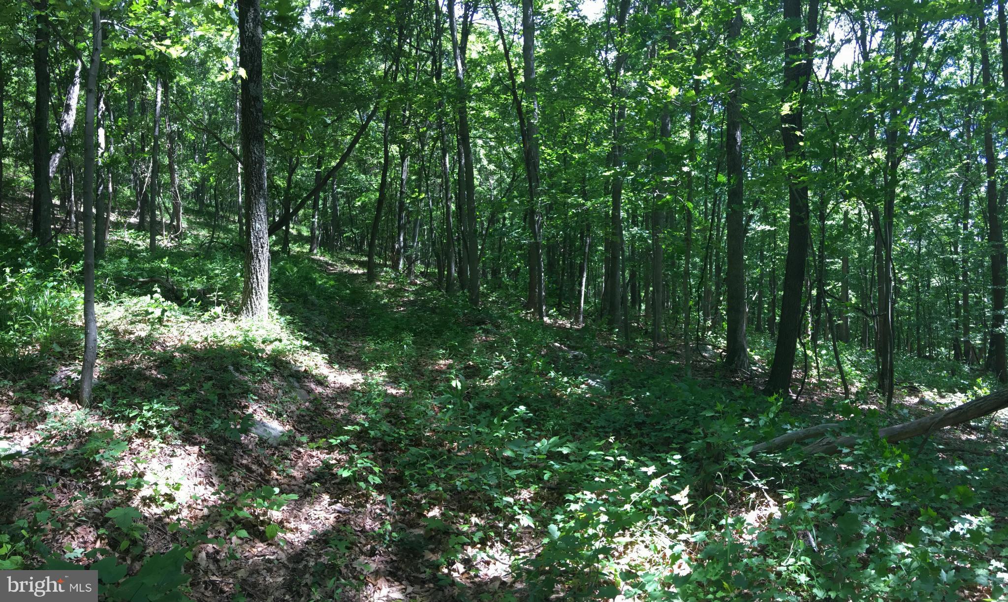 EAGLE MOUNTAIN - Land