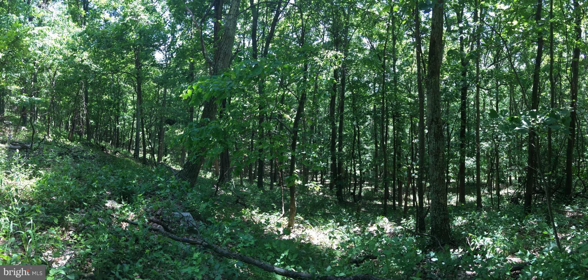 EAGLE MOUNTAIN - Land