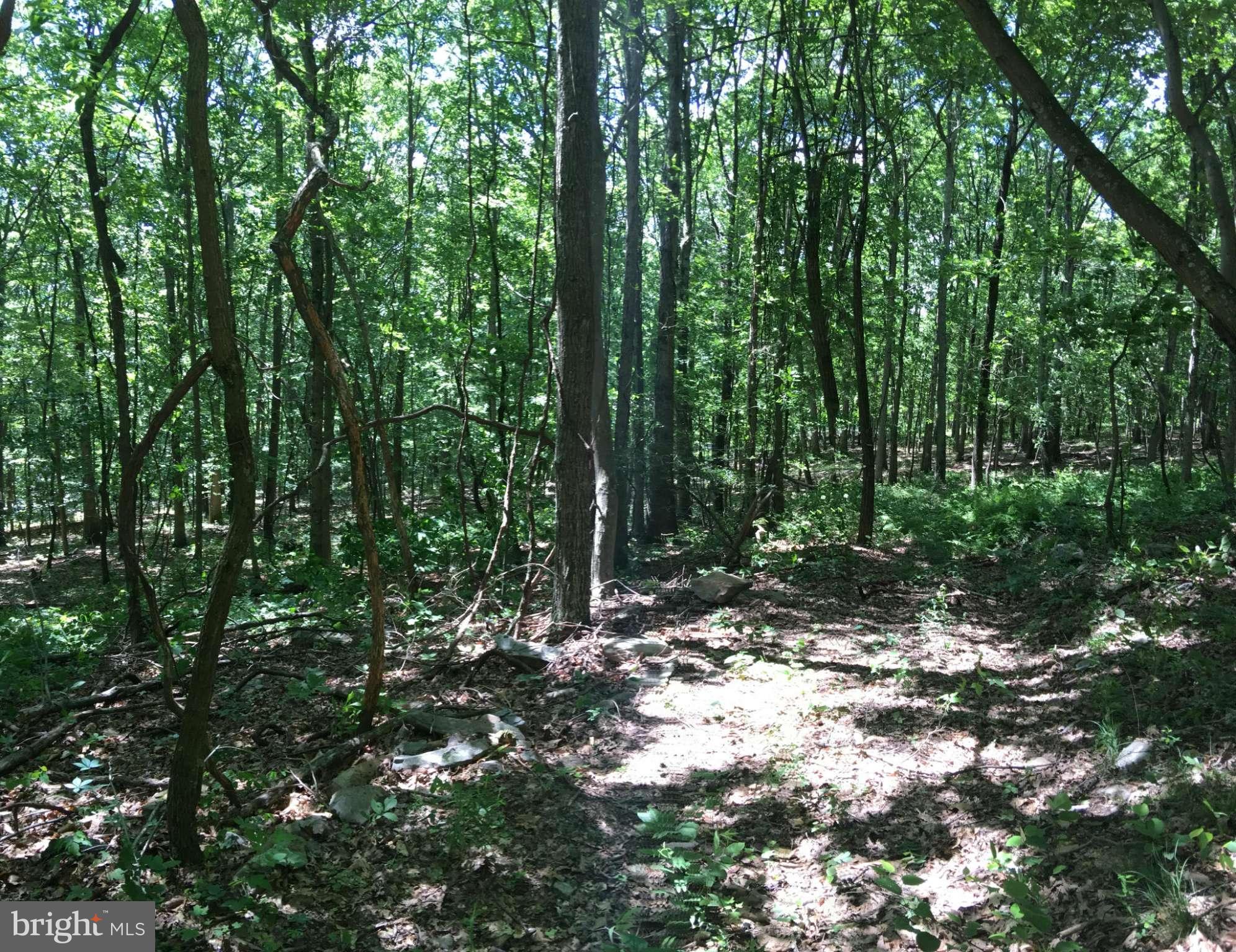 EAGLE MOUNTAIN - Land