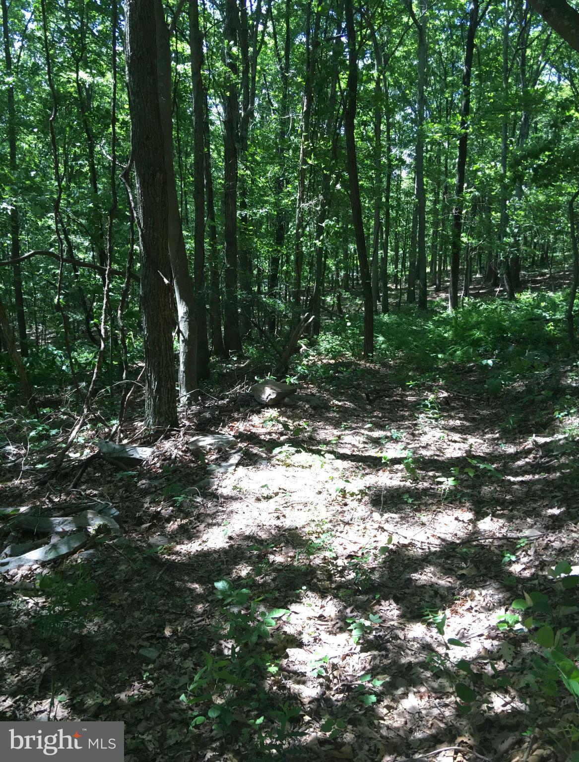 EAGLE MOUNTAIN - Land