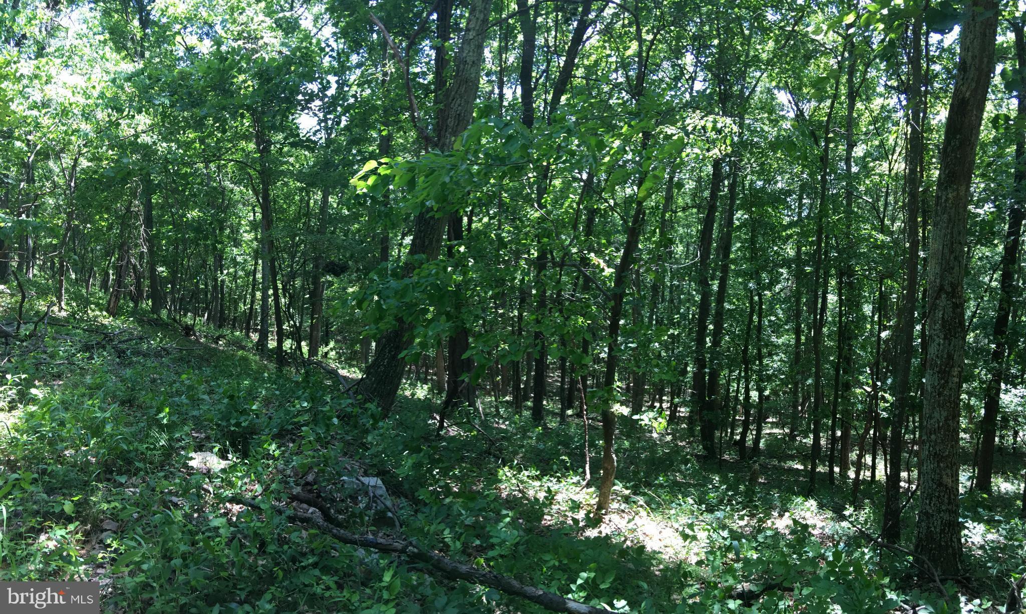 EAGLE MOUNTAIN - Land