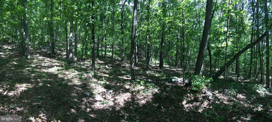 Awesome Mountain Get away. Use for hunting/recreation or your dream home on this 10 + Acre Lot with Mature trees, some hardwoods.