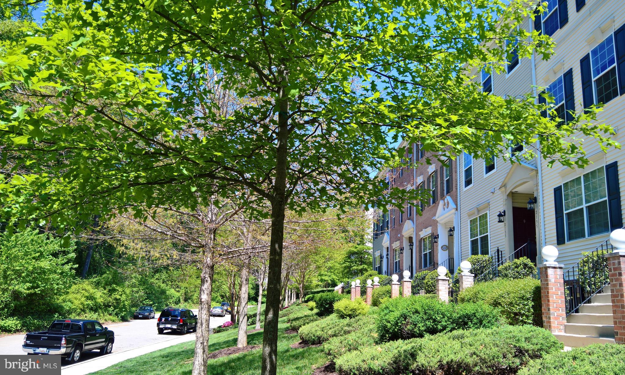 THE HIDEAWAY AT OLD ADMIRAL - Residential Lease