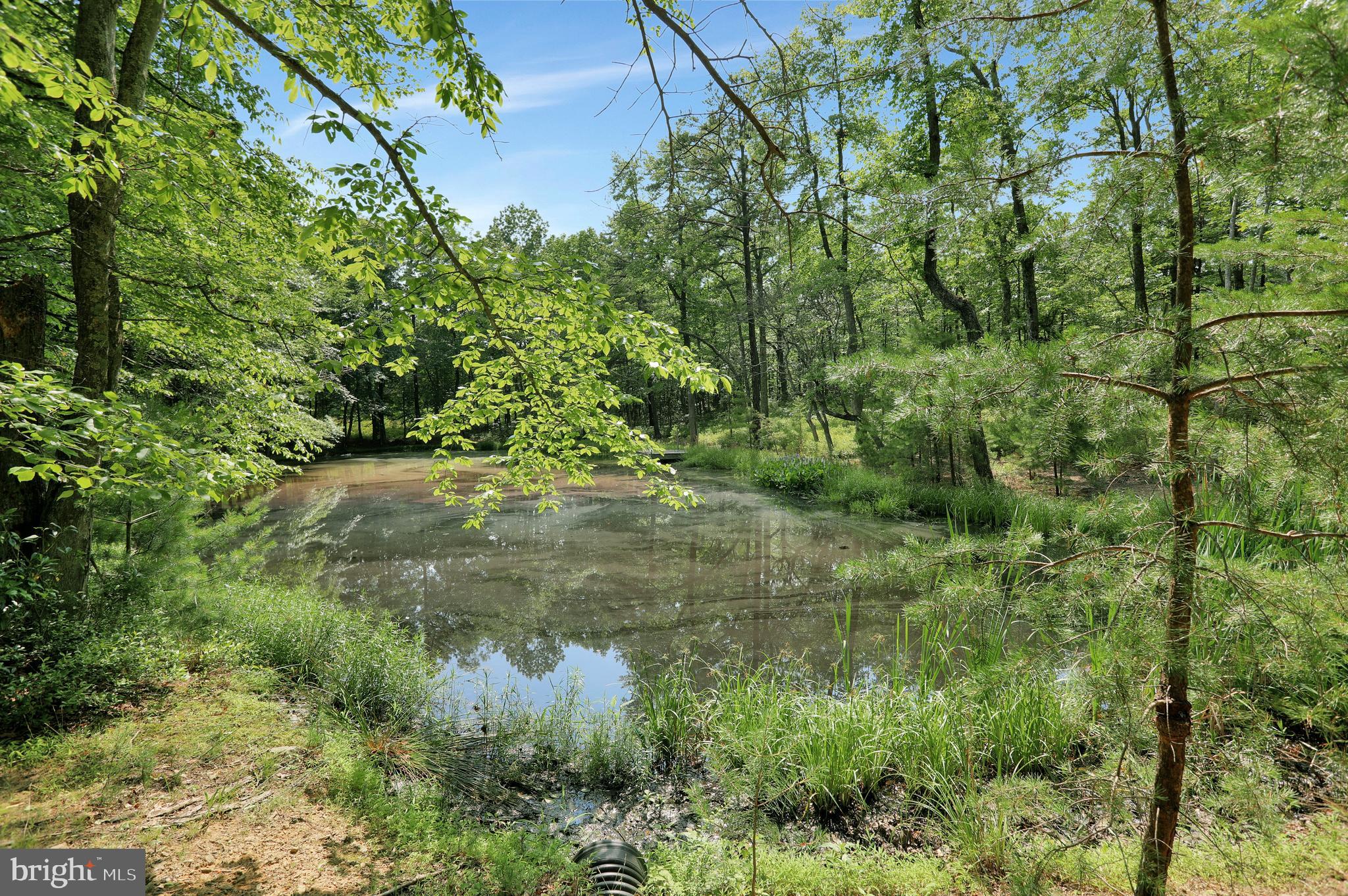 RIVER RIDGE - Residential