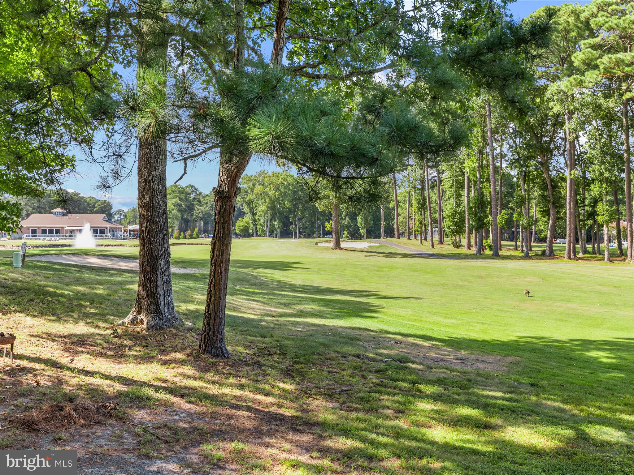 OCEAN PINES - INNERLINKS - Residential